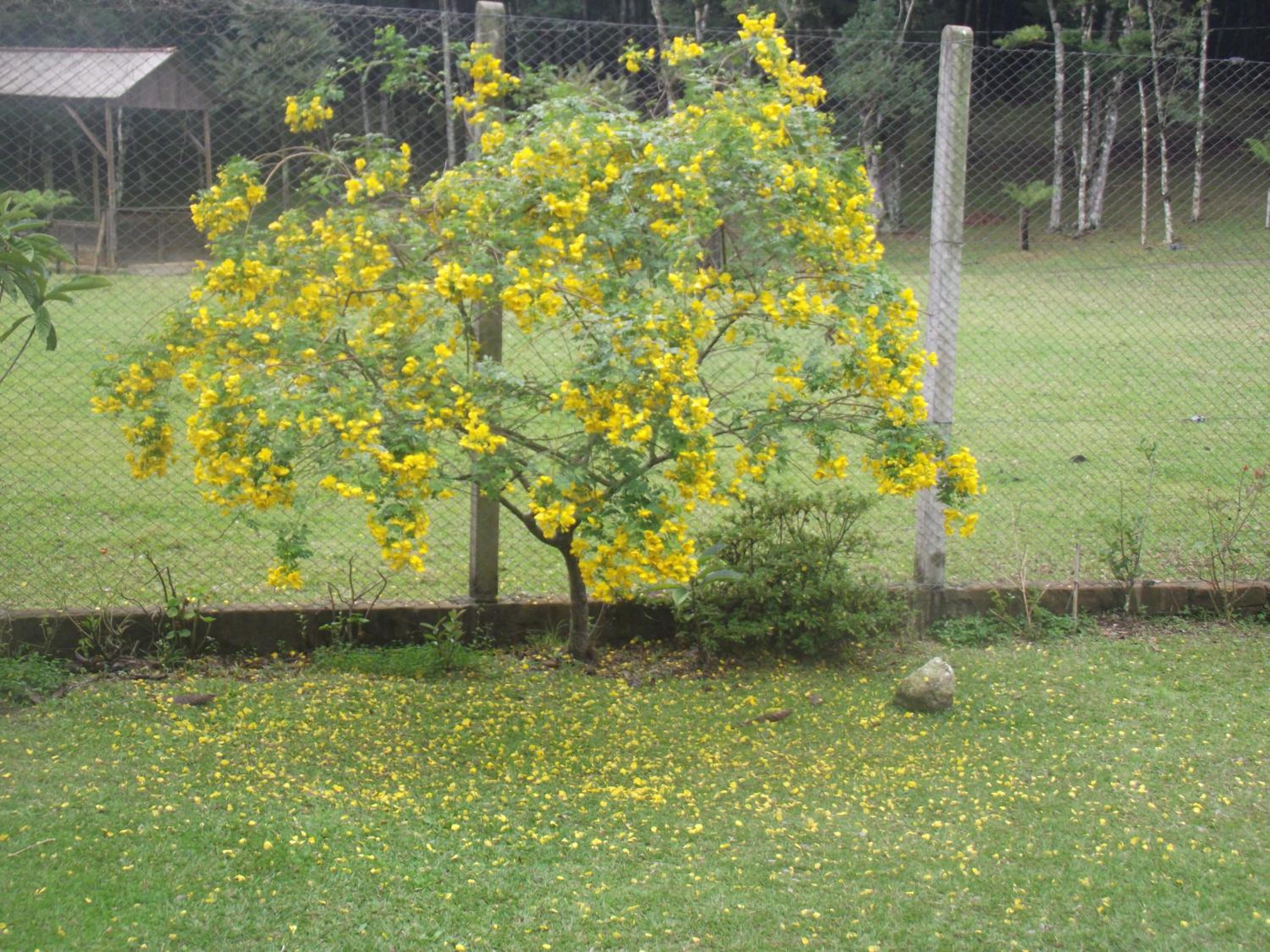 Recanto na Montanha de Gramado