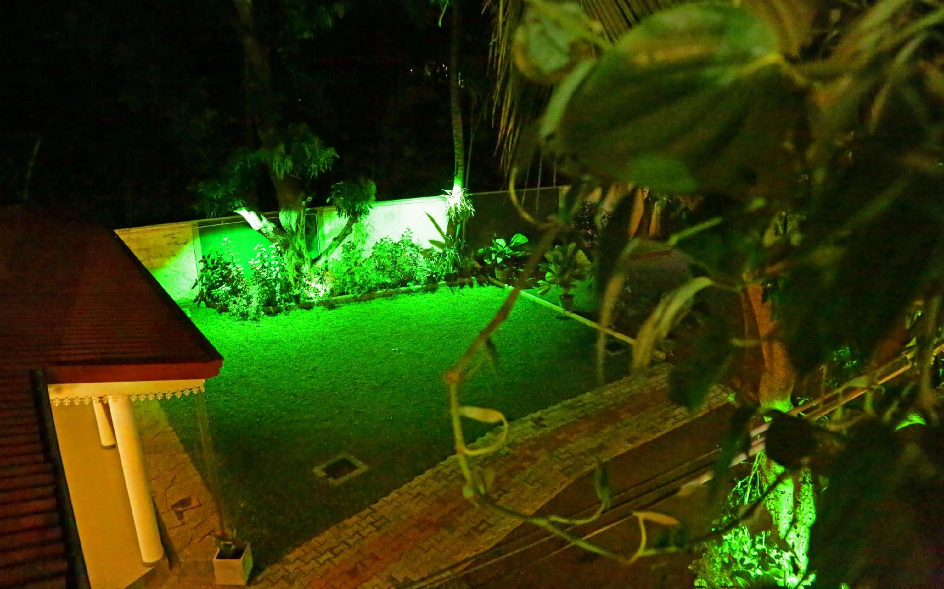 Photo 14