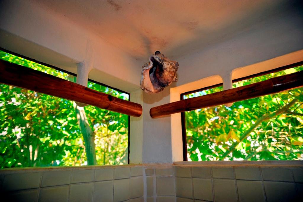 Bambú Ecocabañas