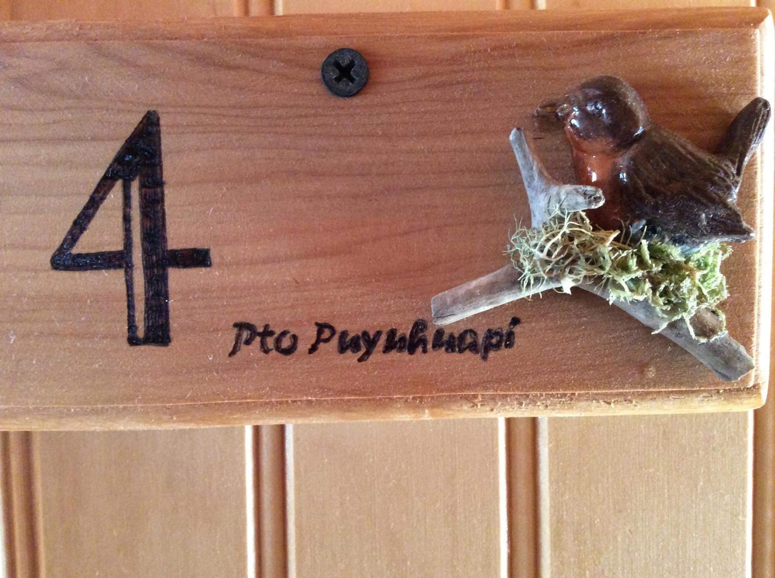 Los Mañíos Del Queulat Puyuhuapi