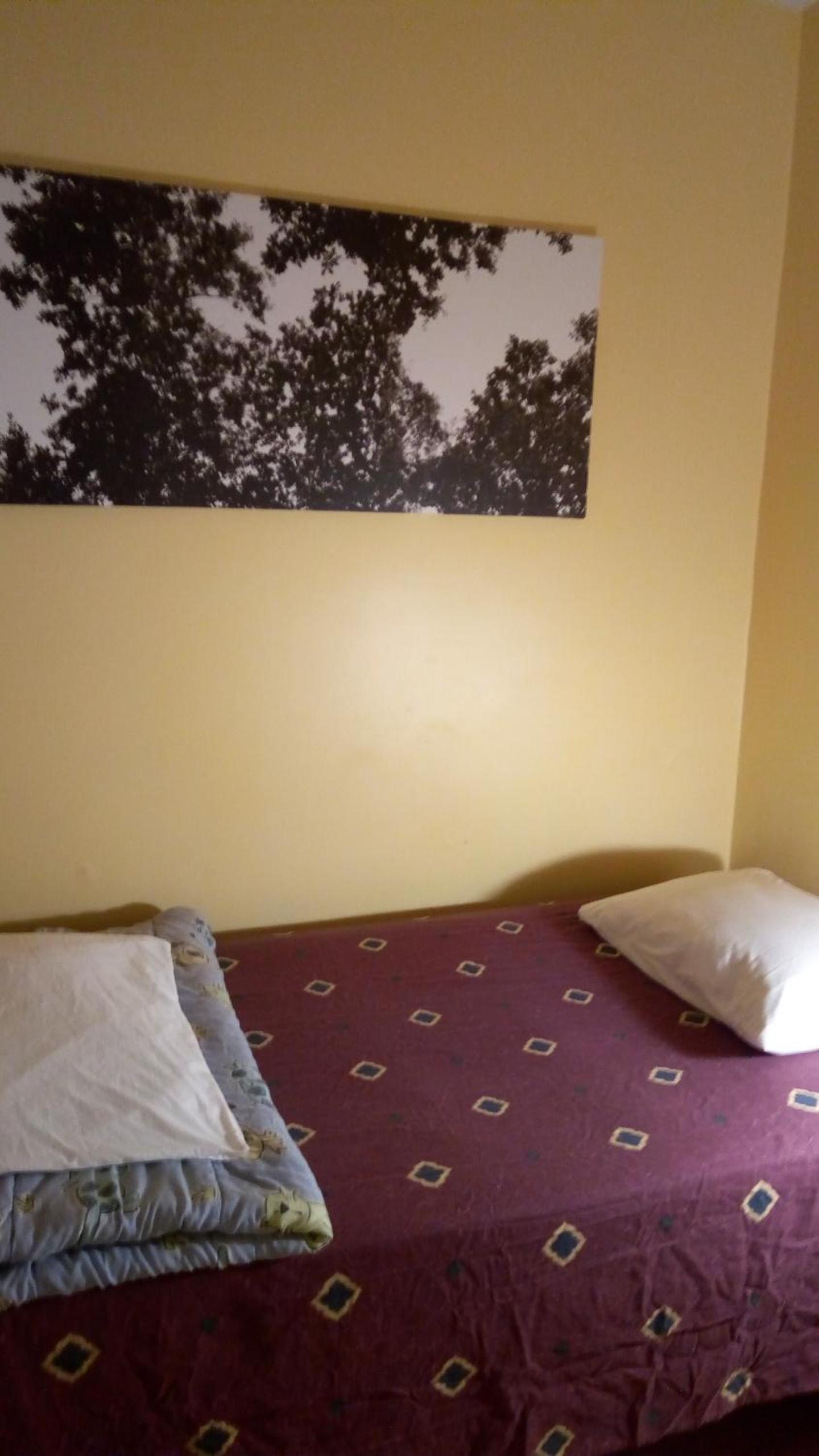 Ottawa Backpackers Inn - Image 4