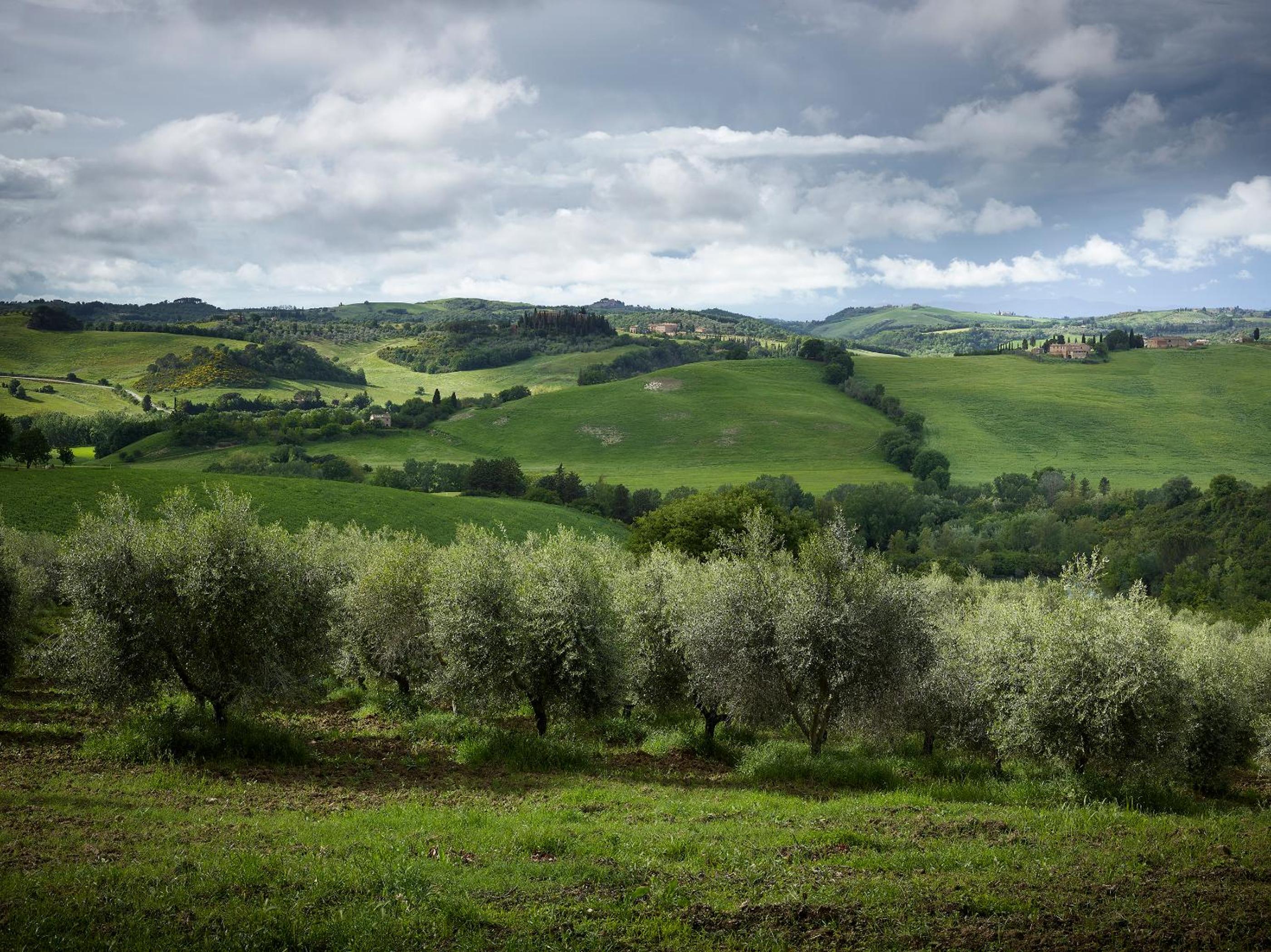 Borgo Lucignanello Bandini