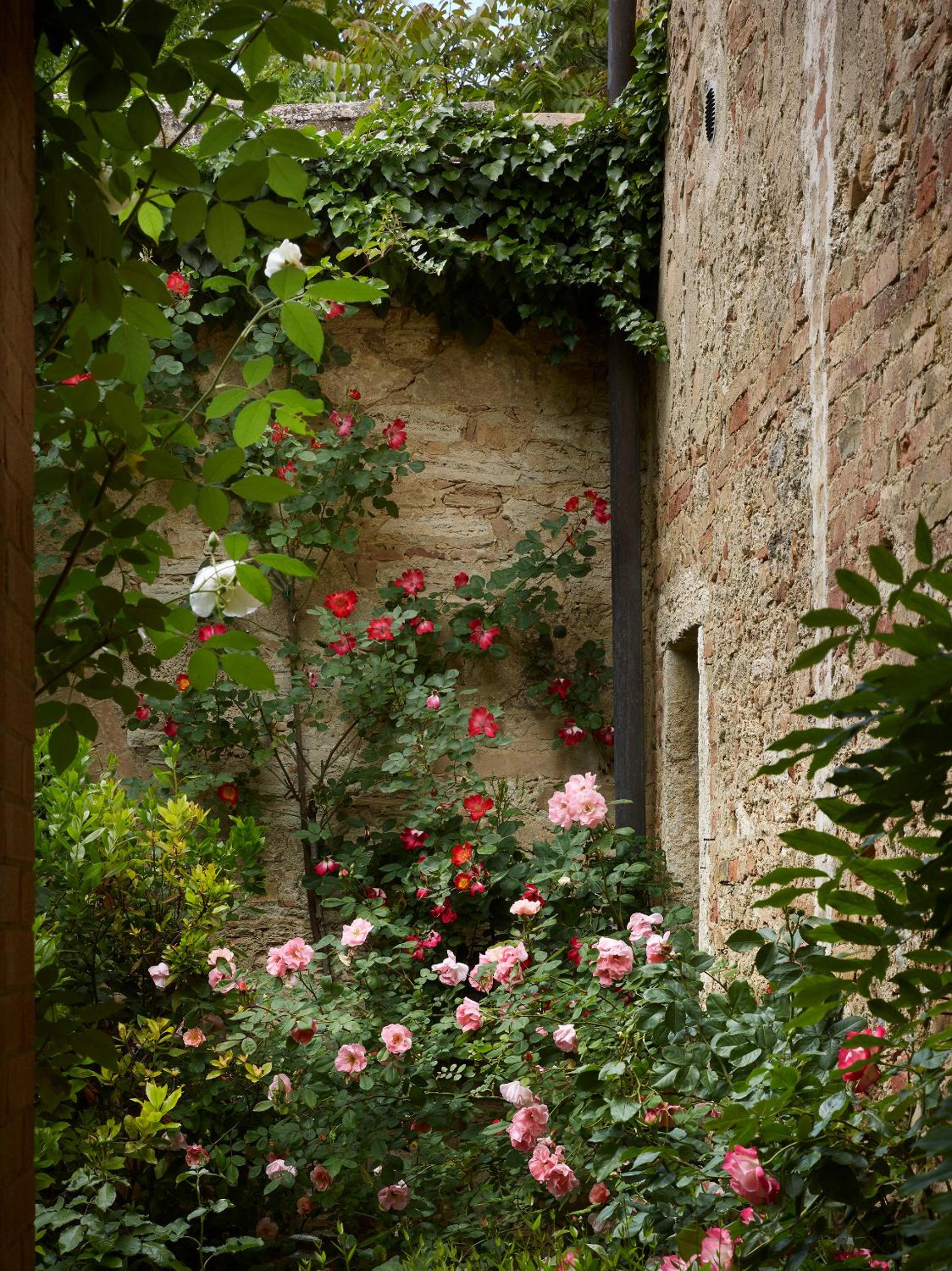 Borgo Lucignanello Bandini