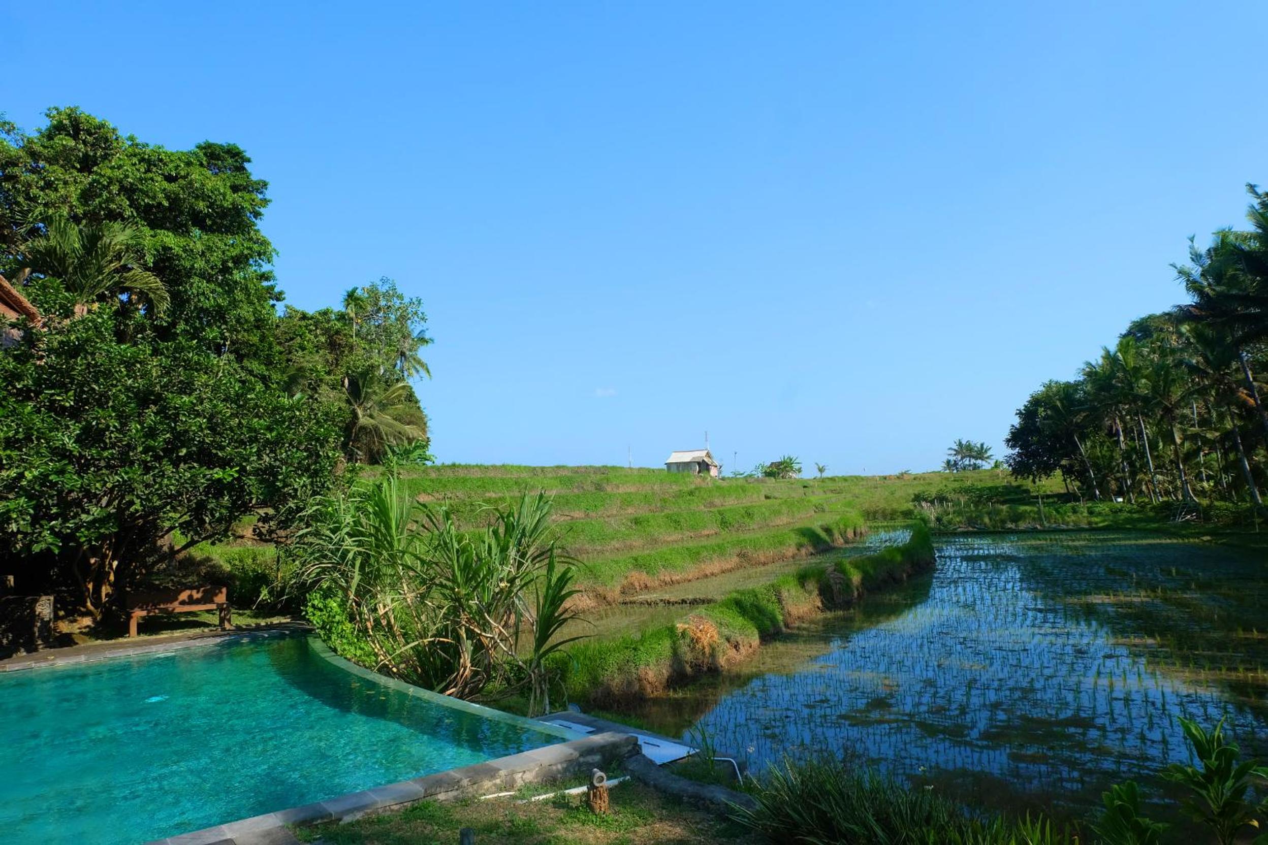 Puri Taman Sari Resort view 4