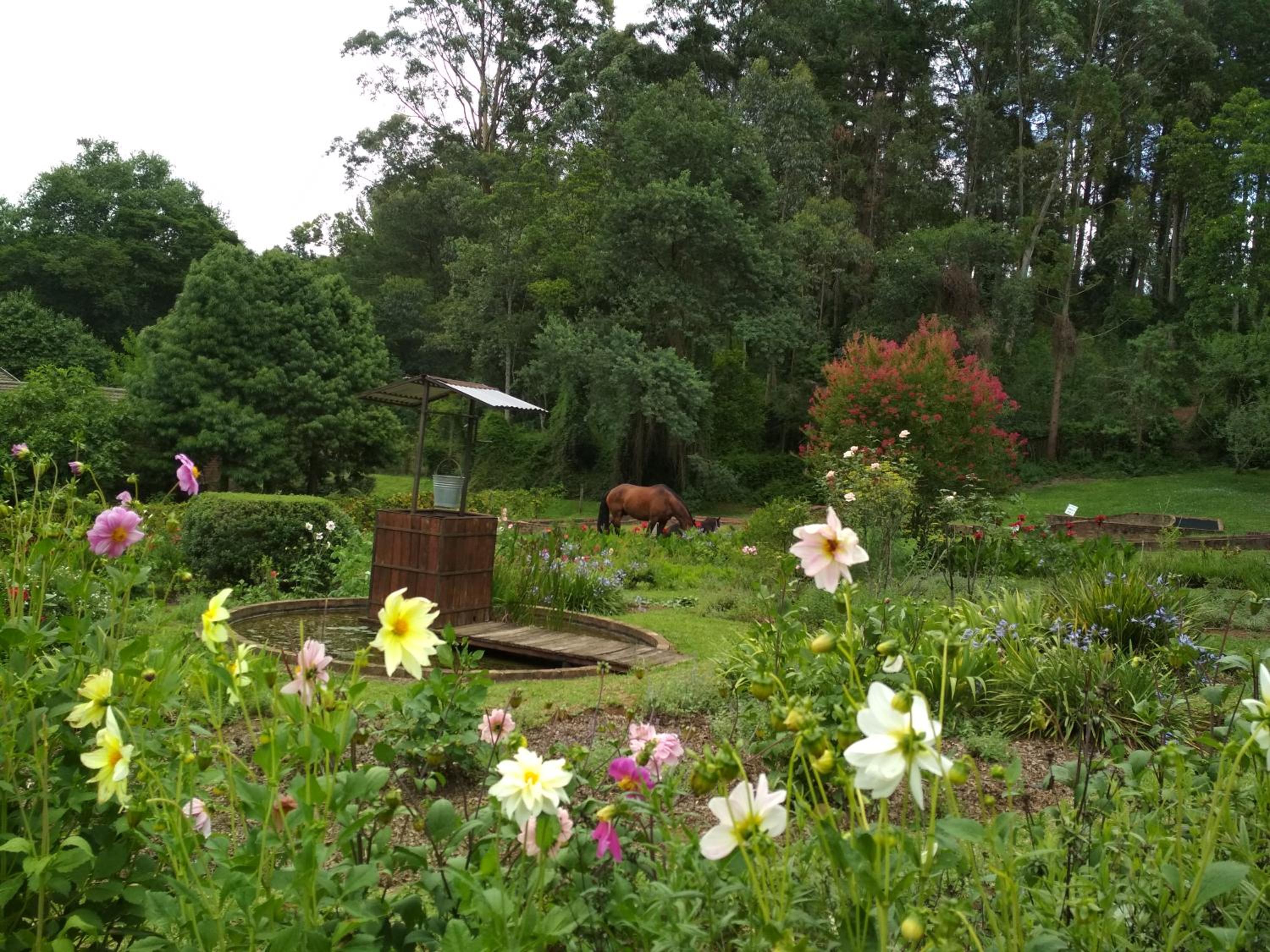 Photo 42