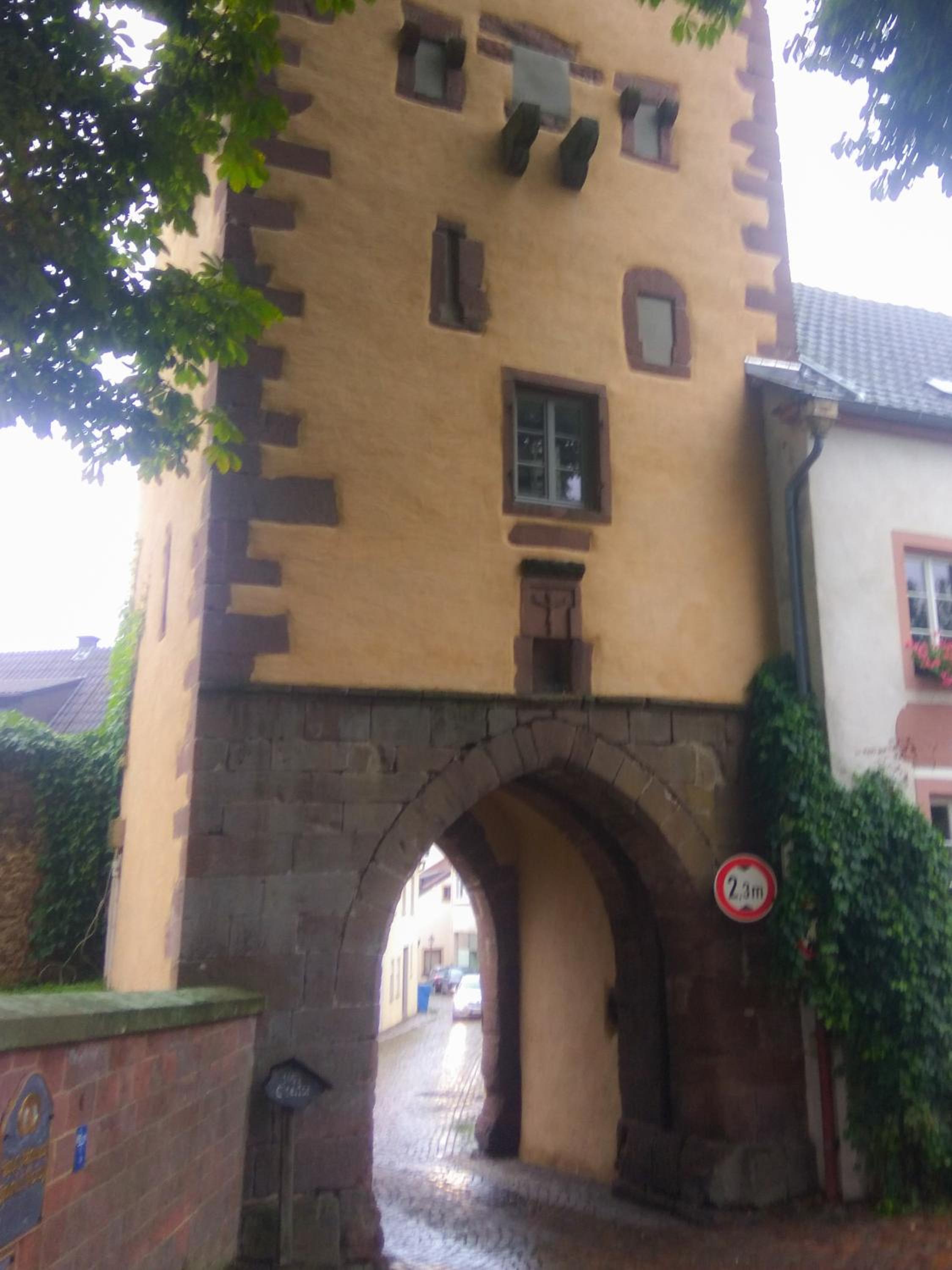 Photo 25