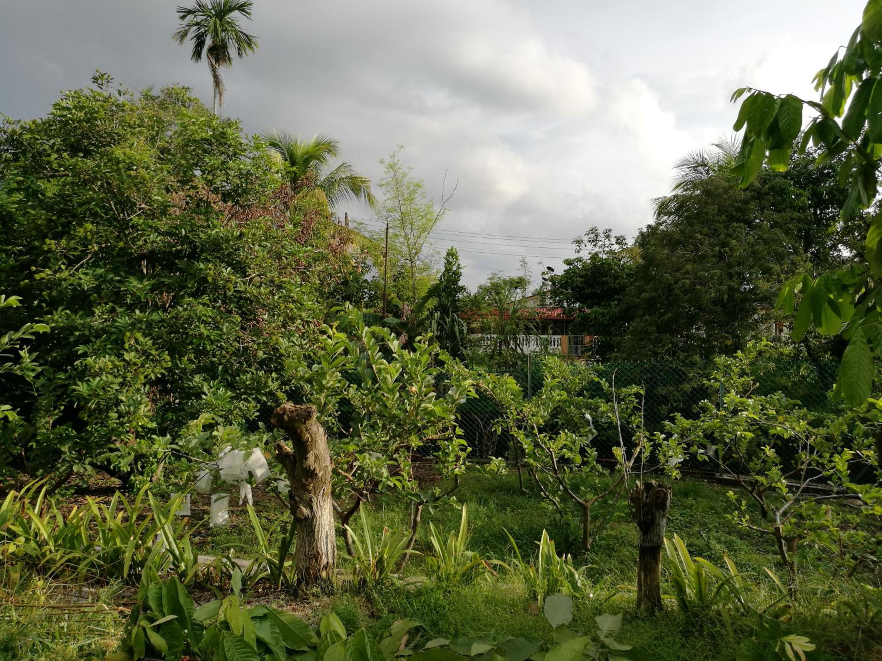 Photo 27