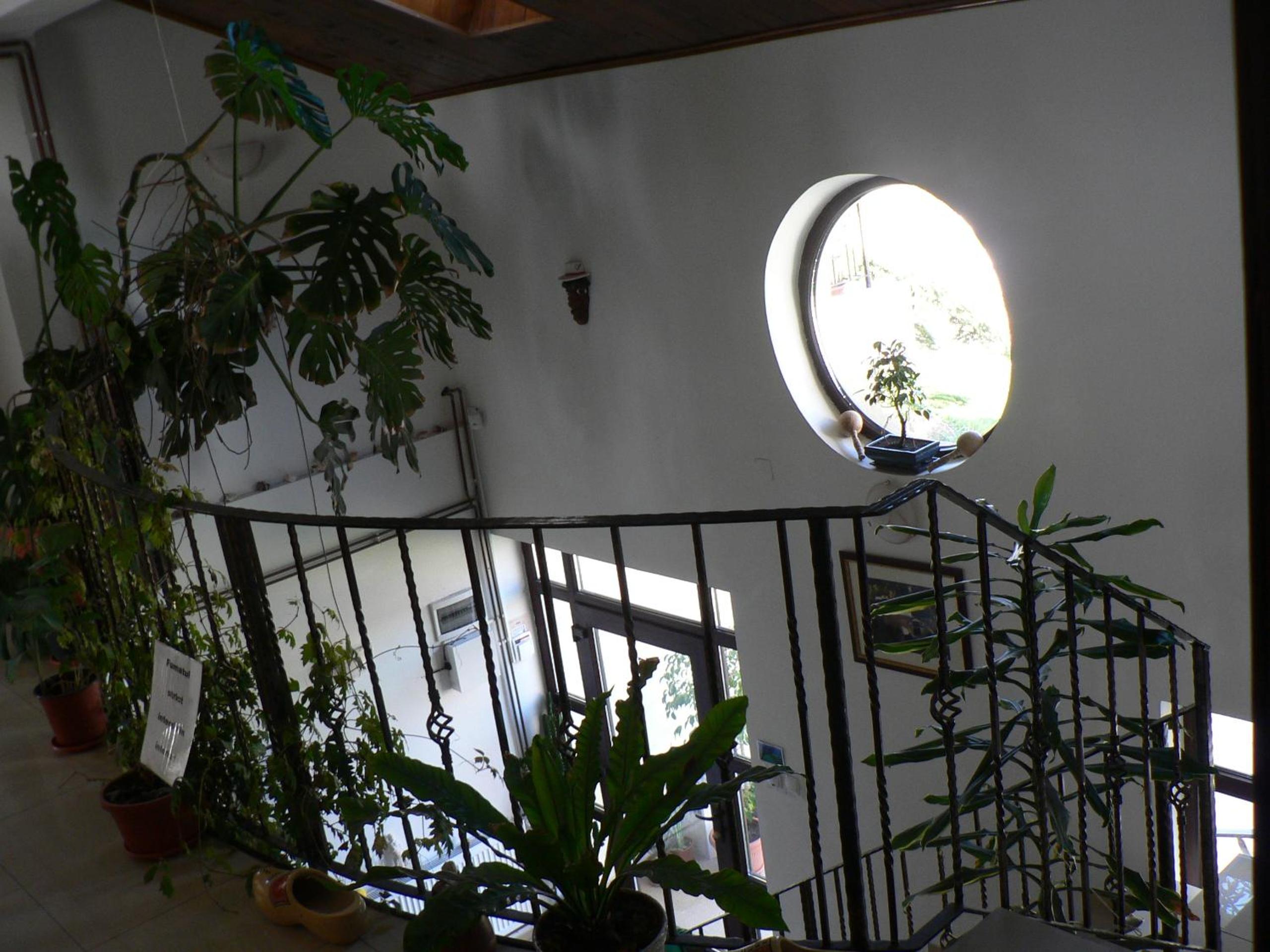 Photo 40