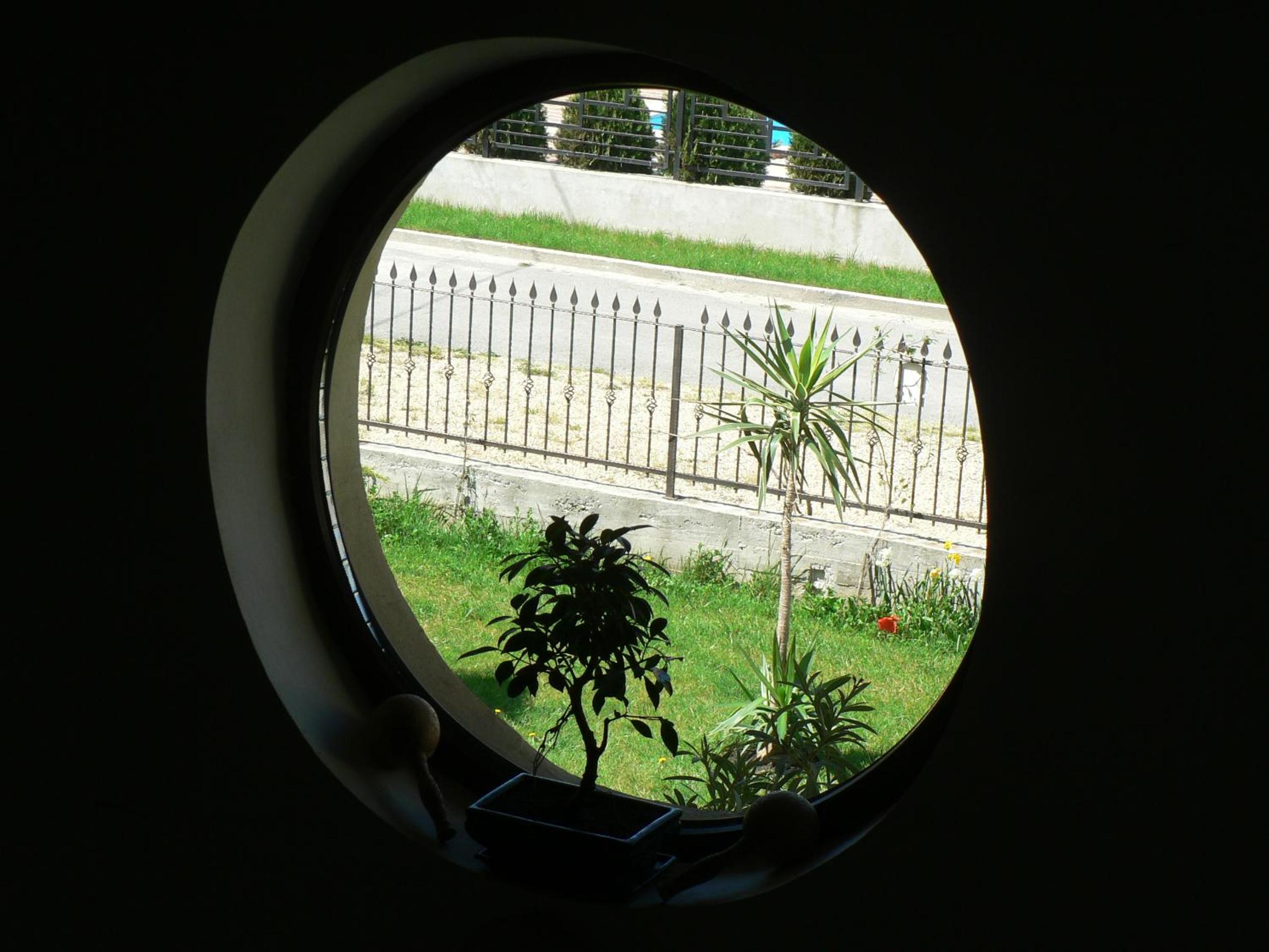 Photo 38