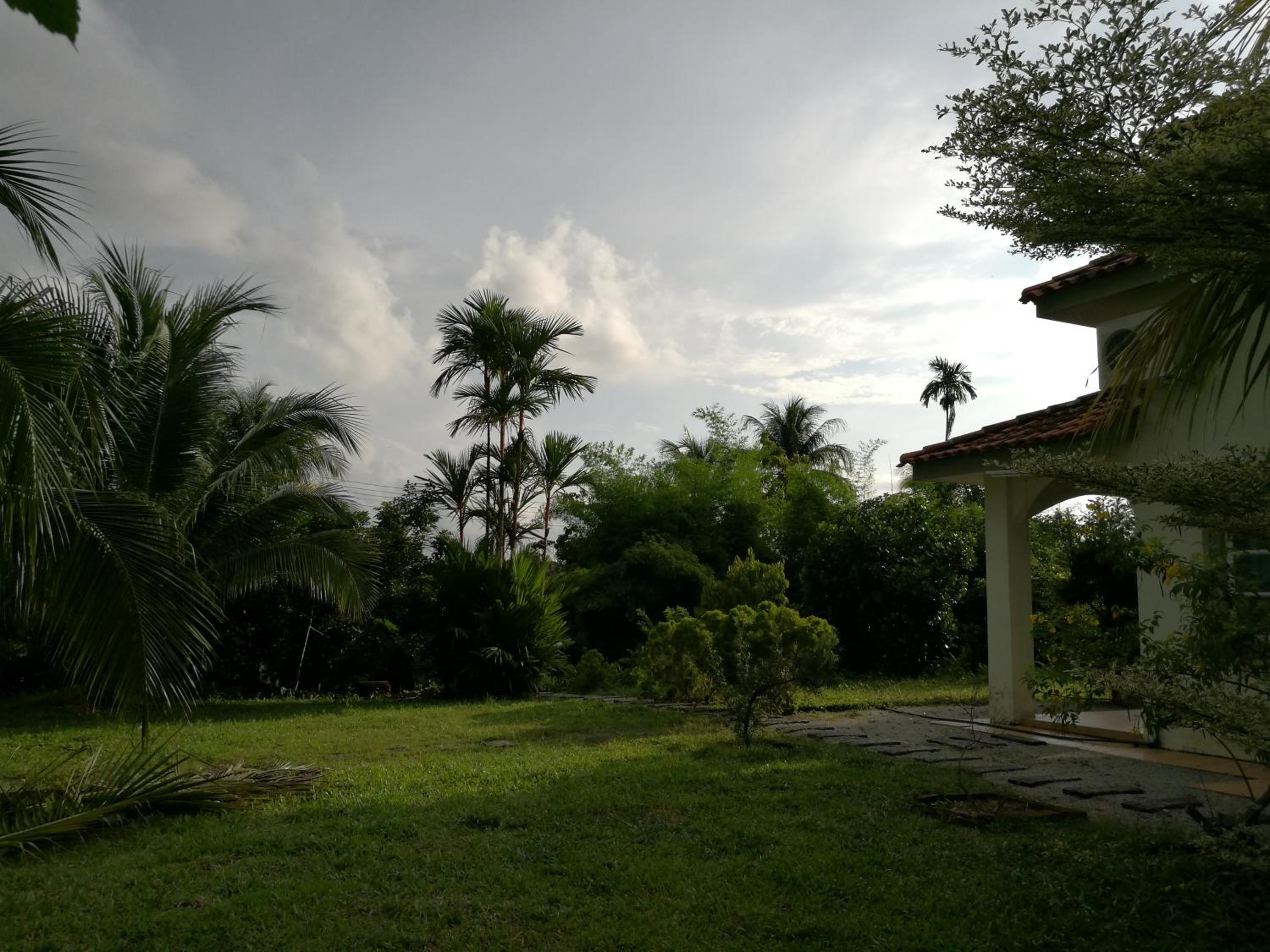Photo 29
