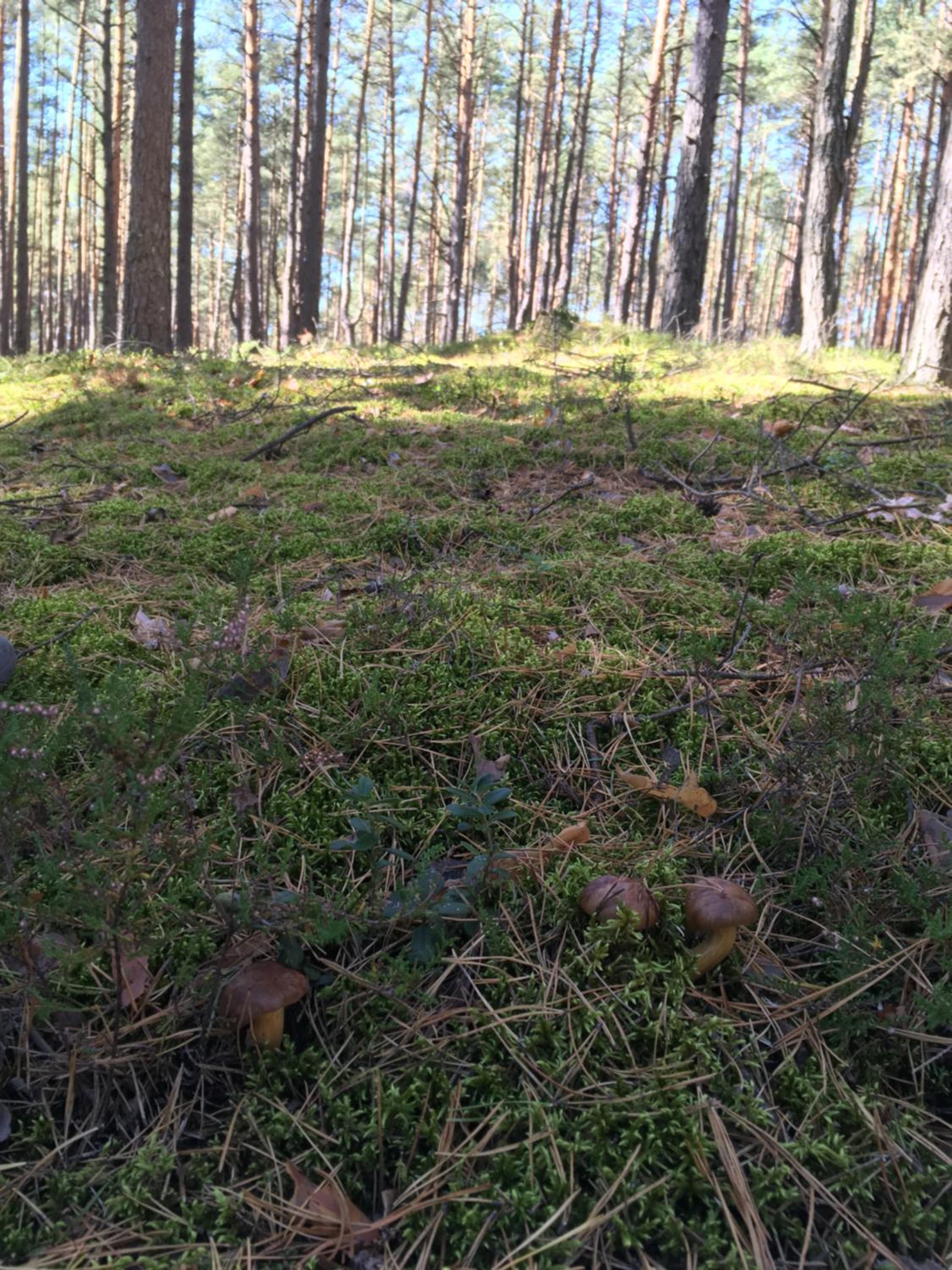 Photo 21