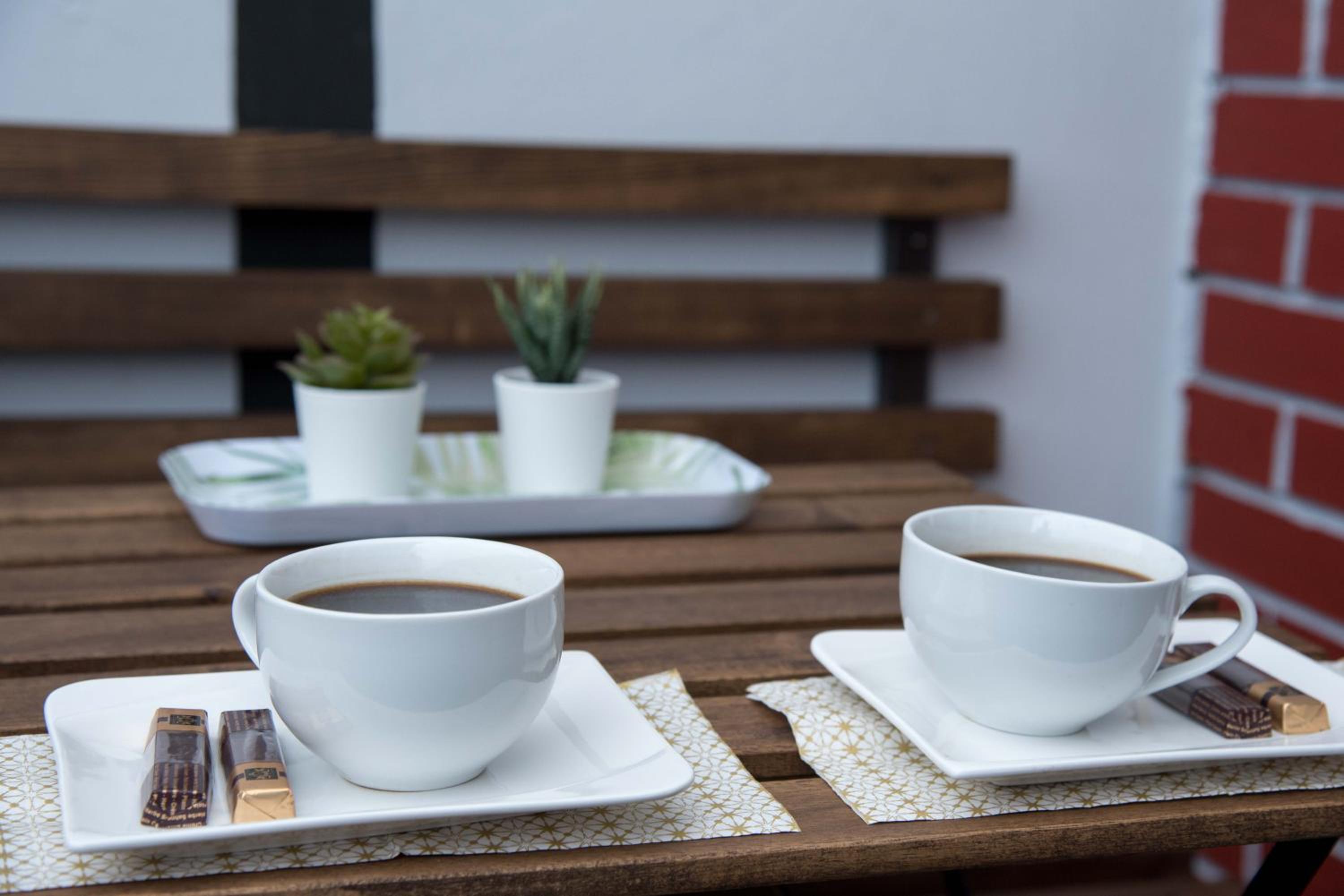 Studio Apartman Ždral en Daruvar — balance & terrace