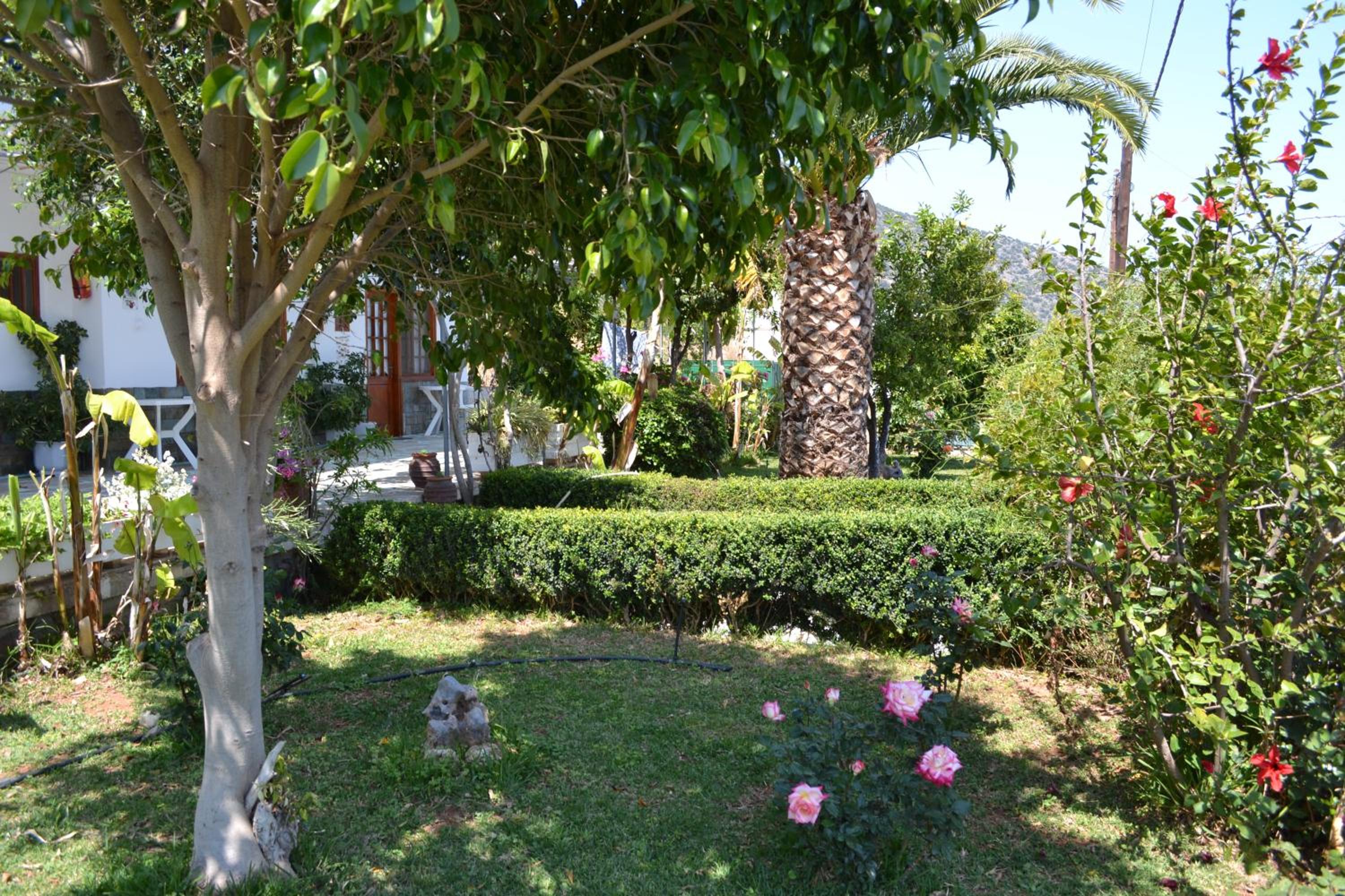 Dimitras House en Paralion astros