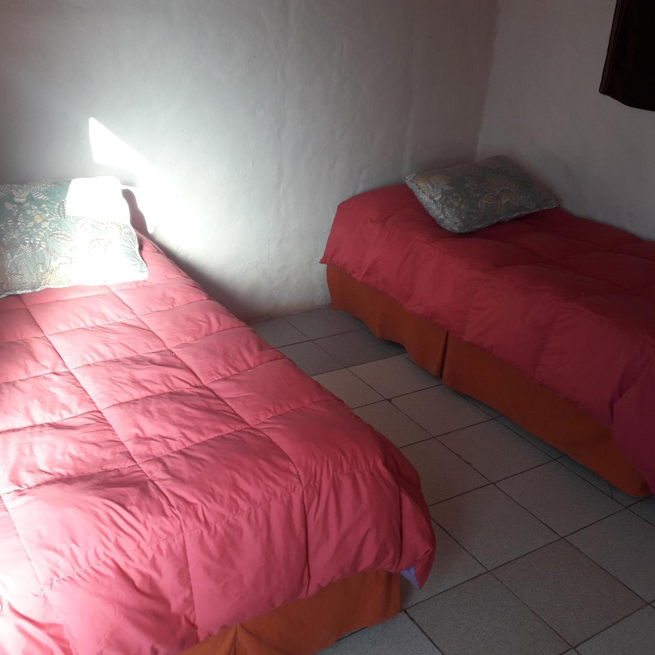 Photo 50