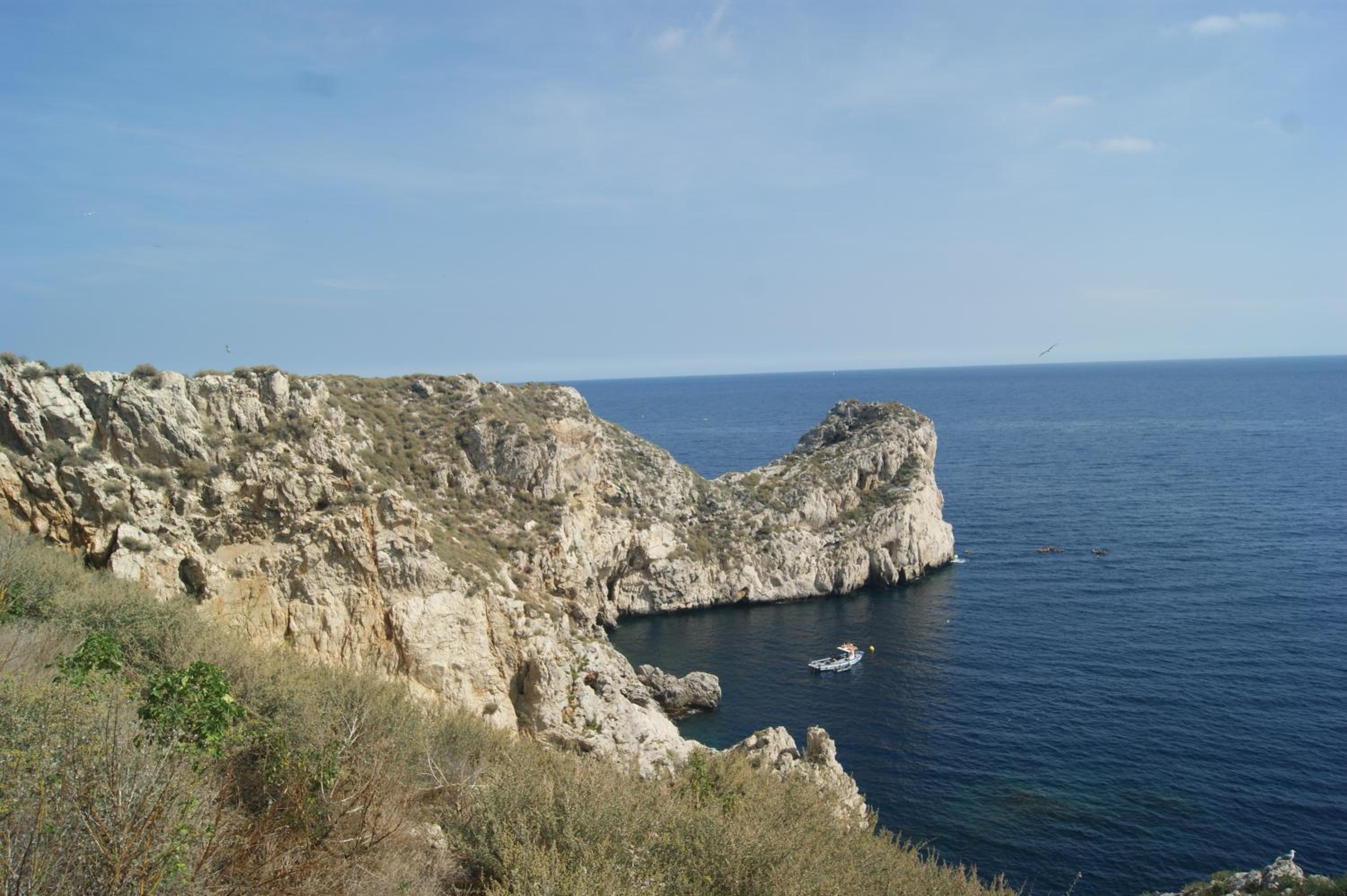 Mas Del Llop Blanc - Dog friendly Hostal Rural - B&B view 4