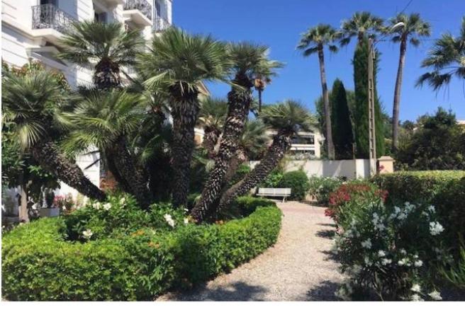 Winter Palace Cannes photo 5