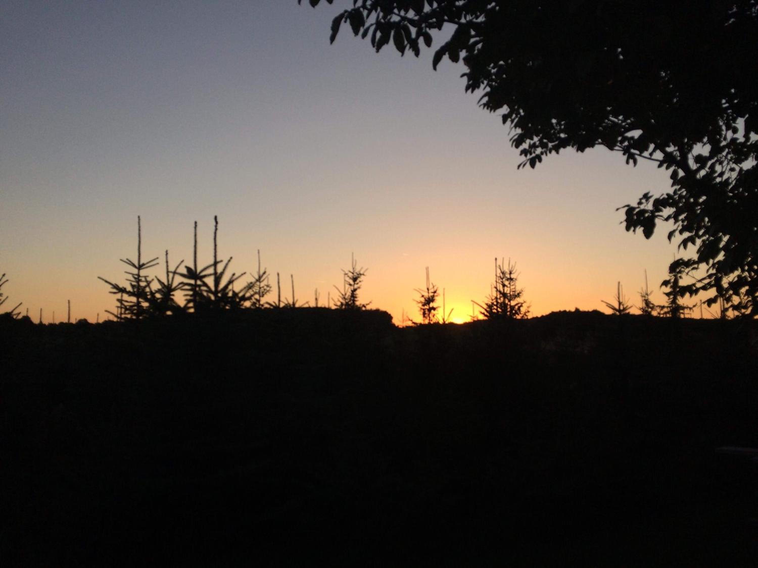 Photo 47