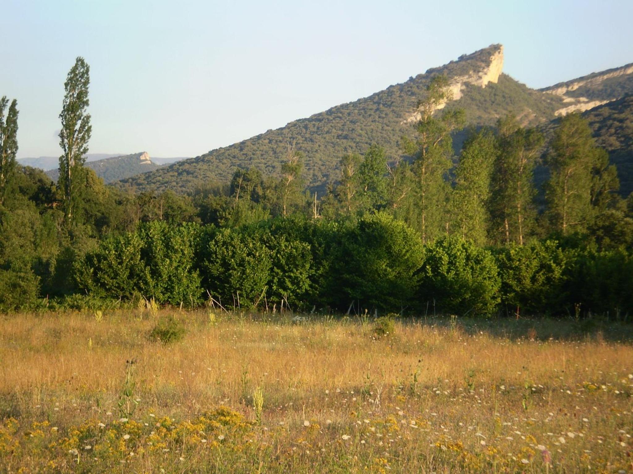 Photo 25