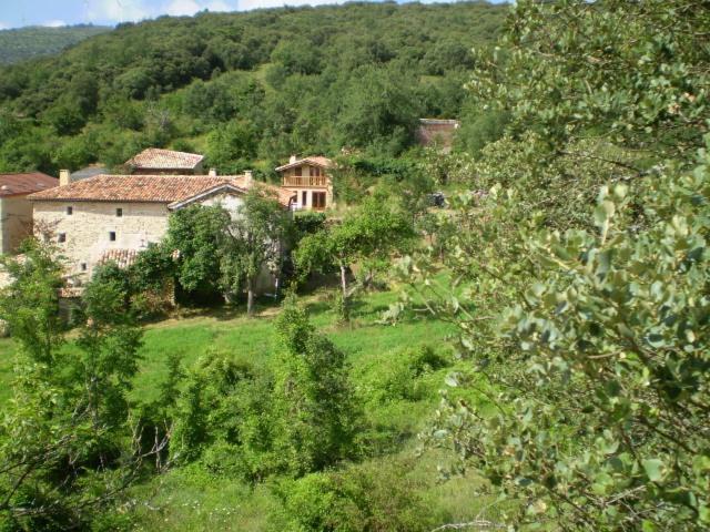 Photo 28