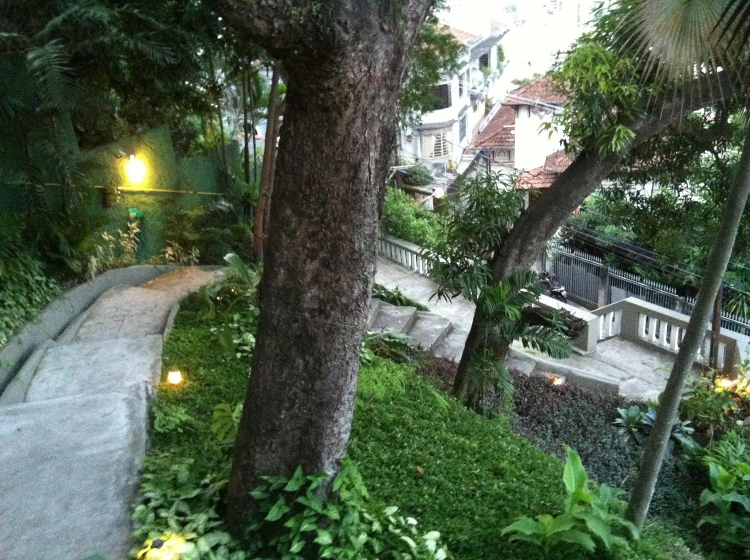 Rio Forest Hostel