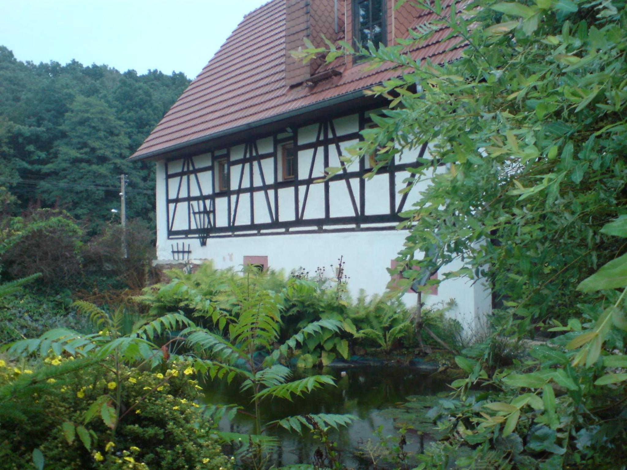 Restaurant  Pension "Bauernhof zum Silberbergwerk" - Property Image 2