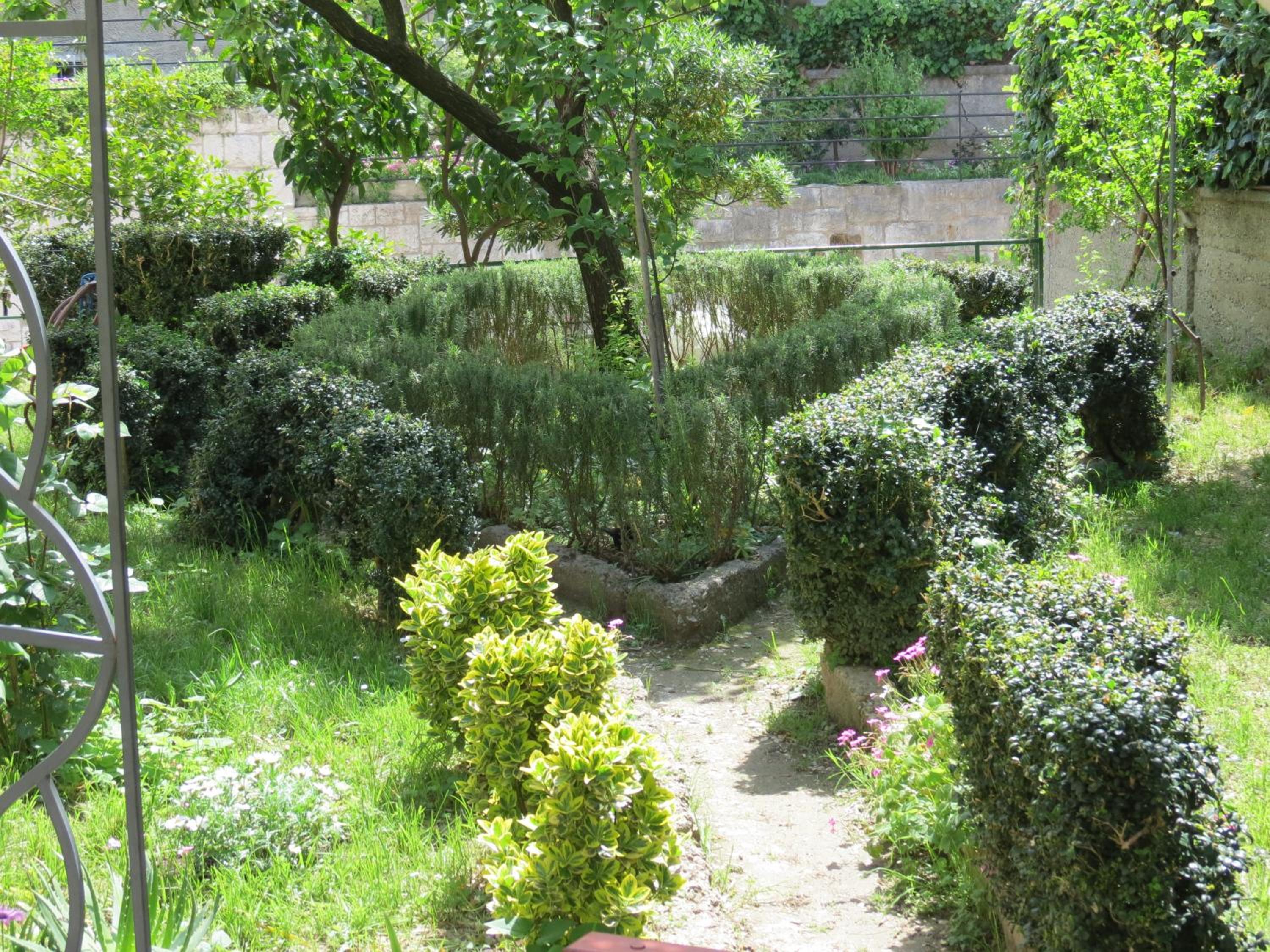 Photo 23
