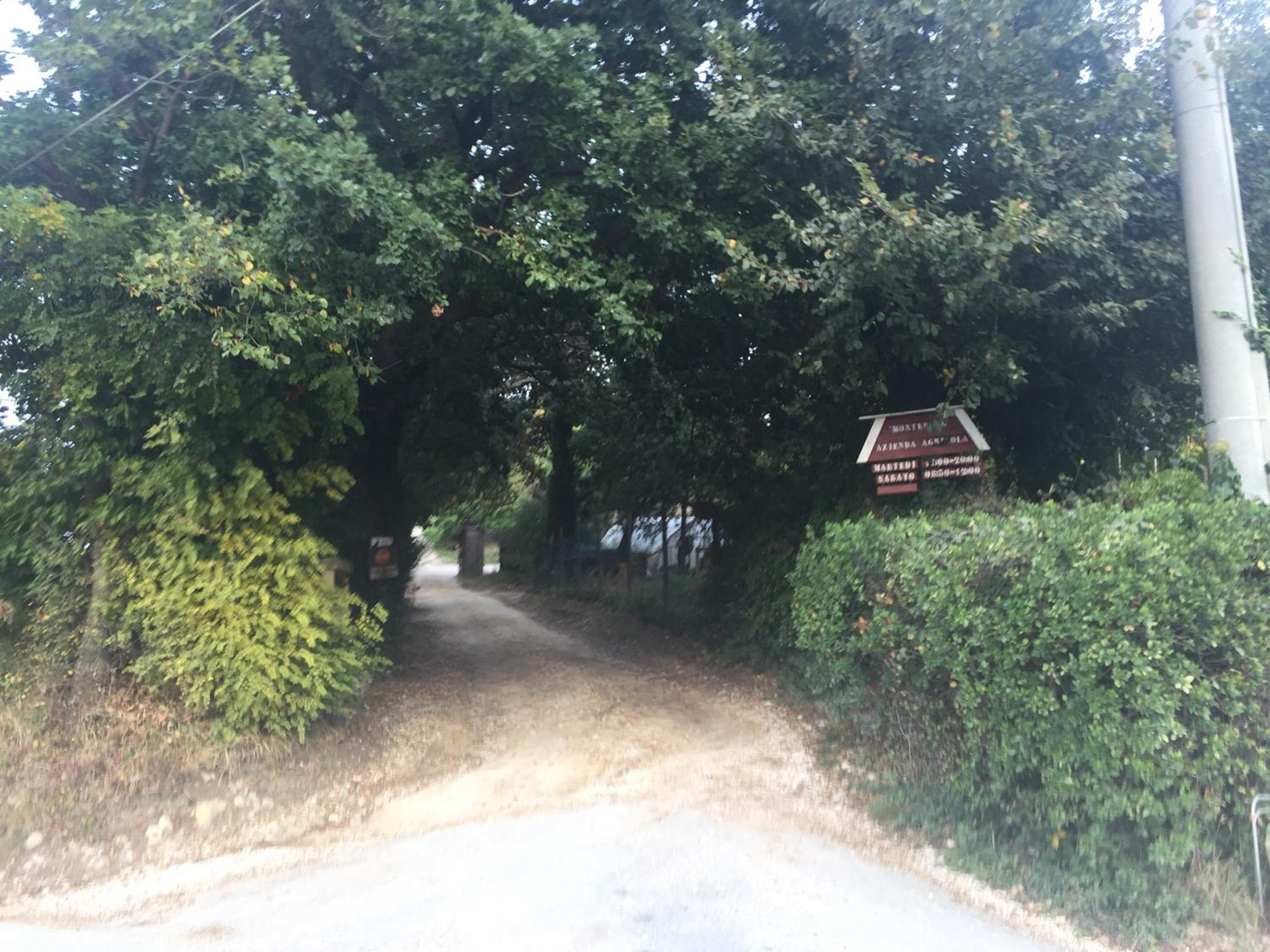 Photo 20