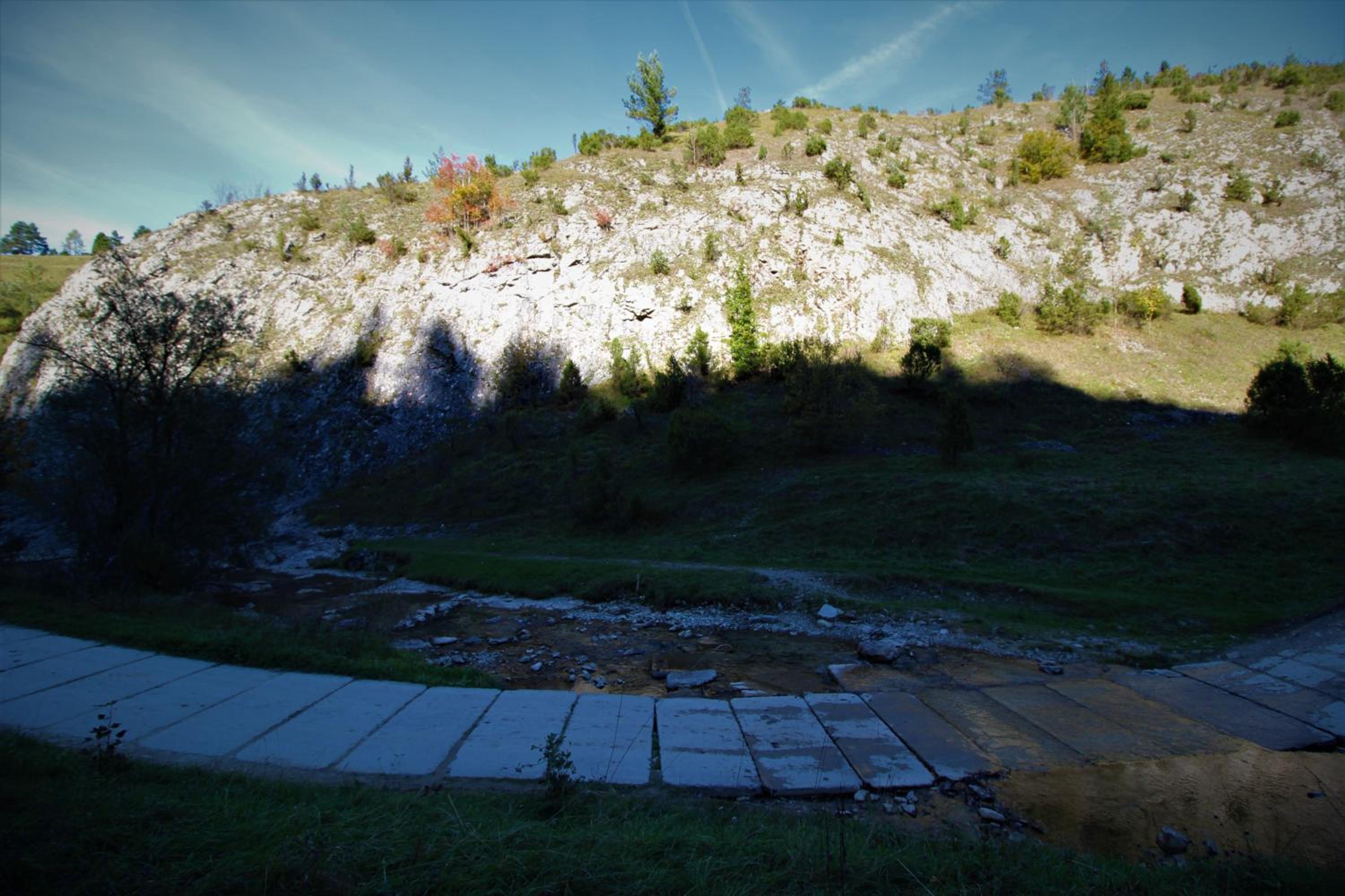 Photo 45