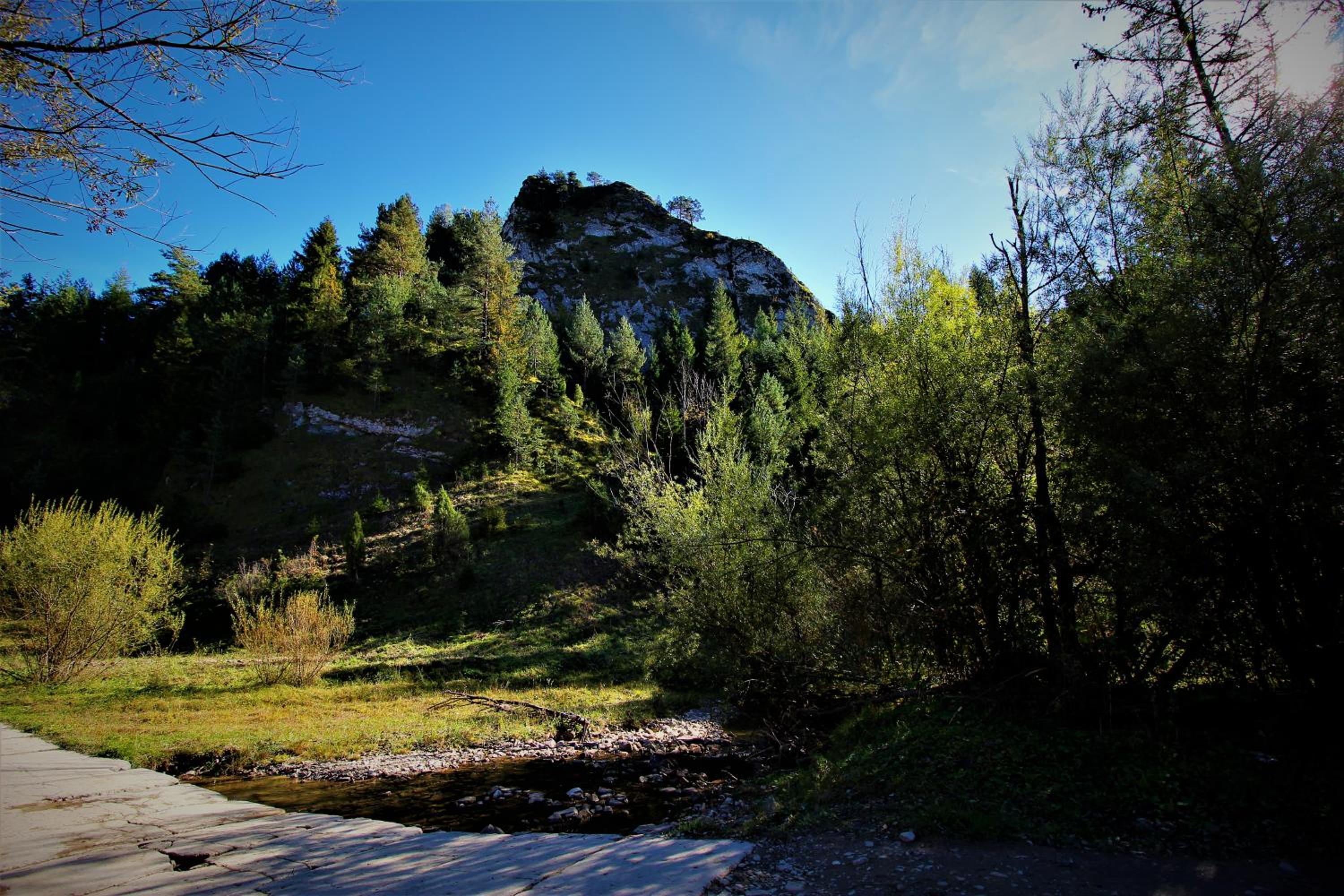 Photo 44