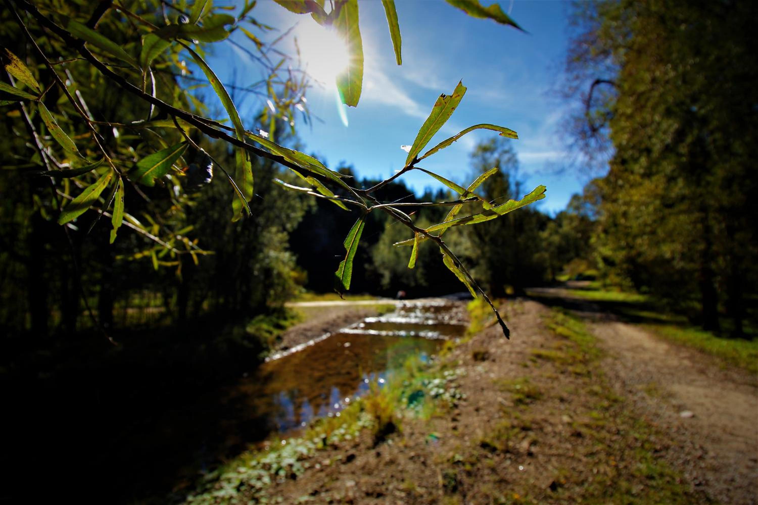 Photo 42