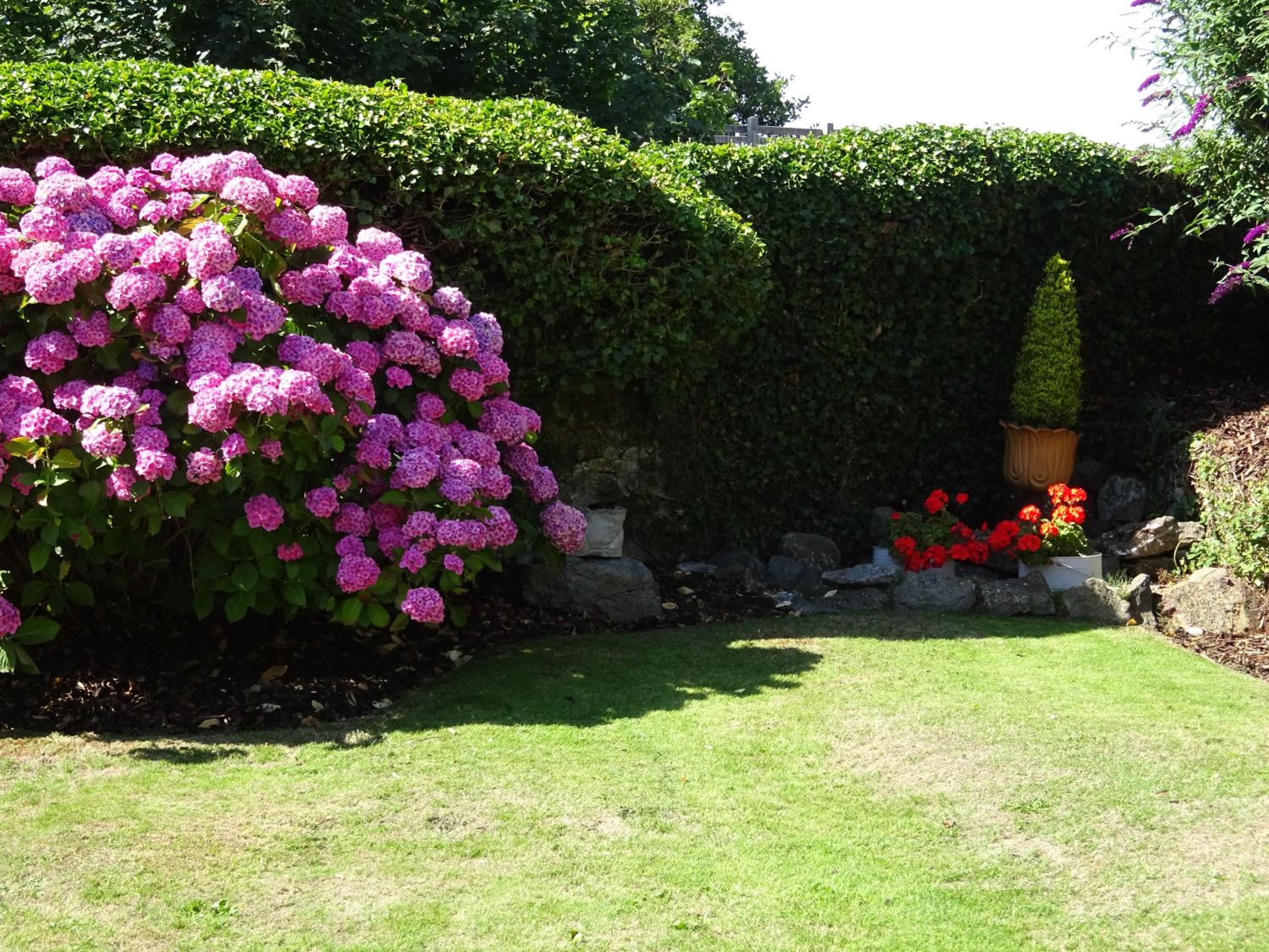 Yr Hen Felin - The Old Mill B&B