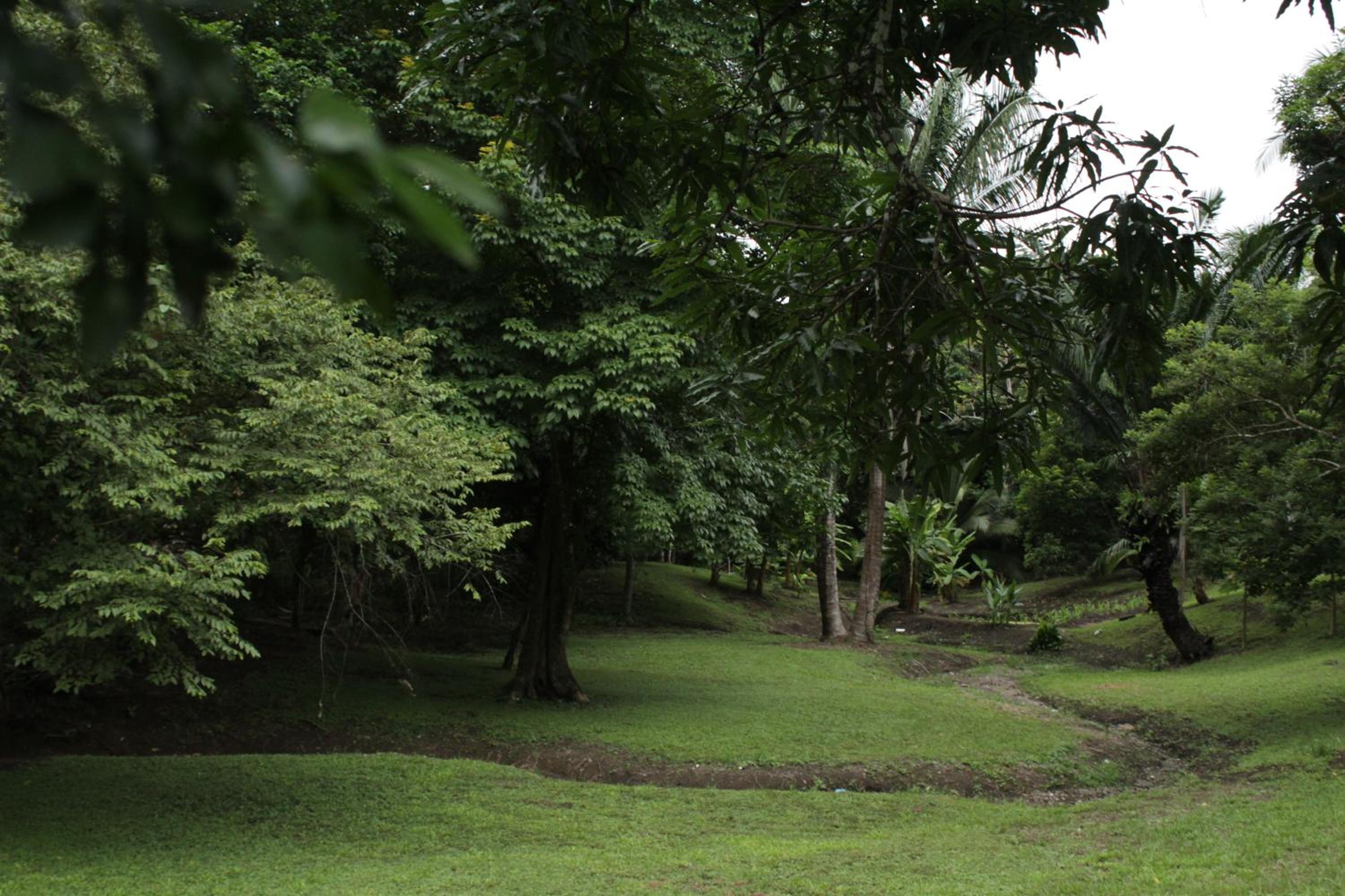 Hostel Guayacan view 5