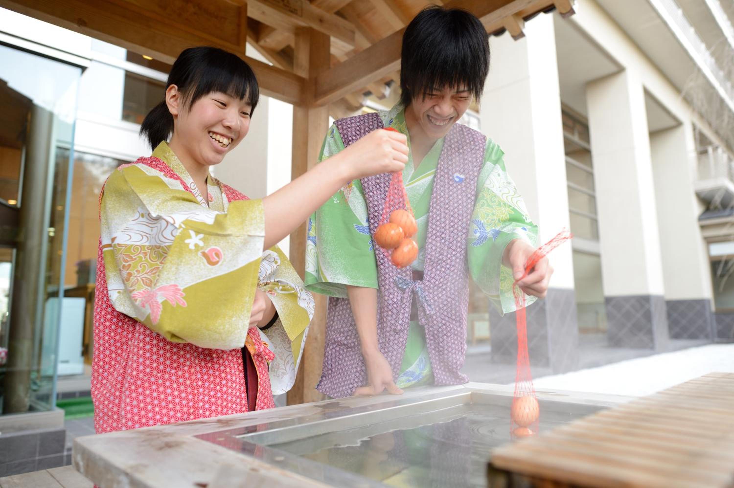 Iizaka Onsen Surikamitei Ohtori