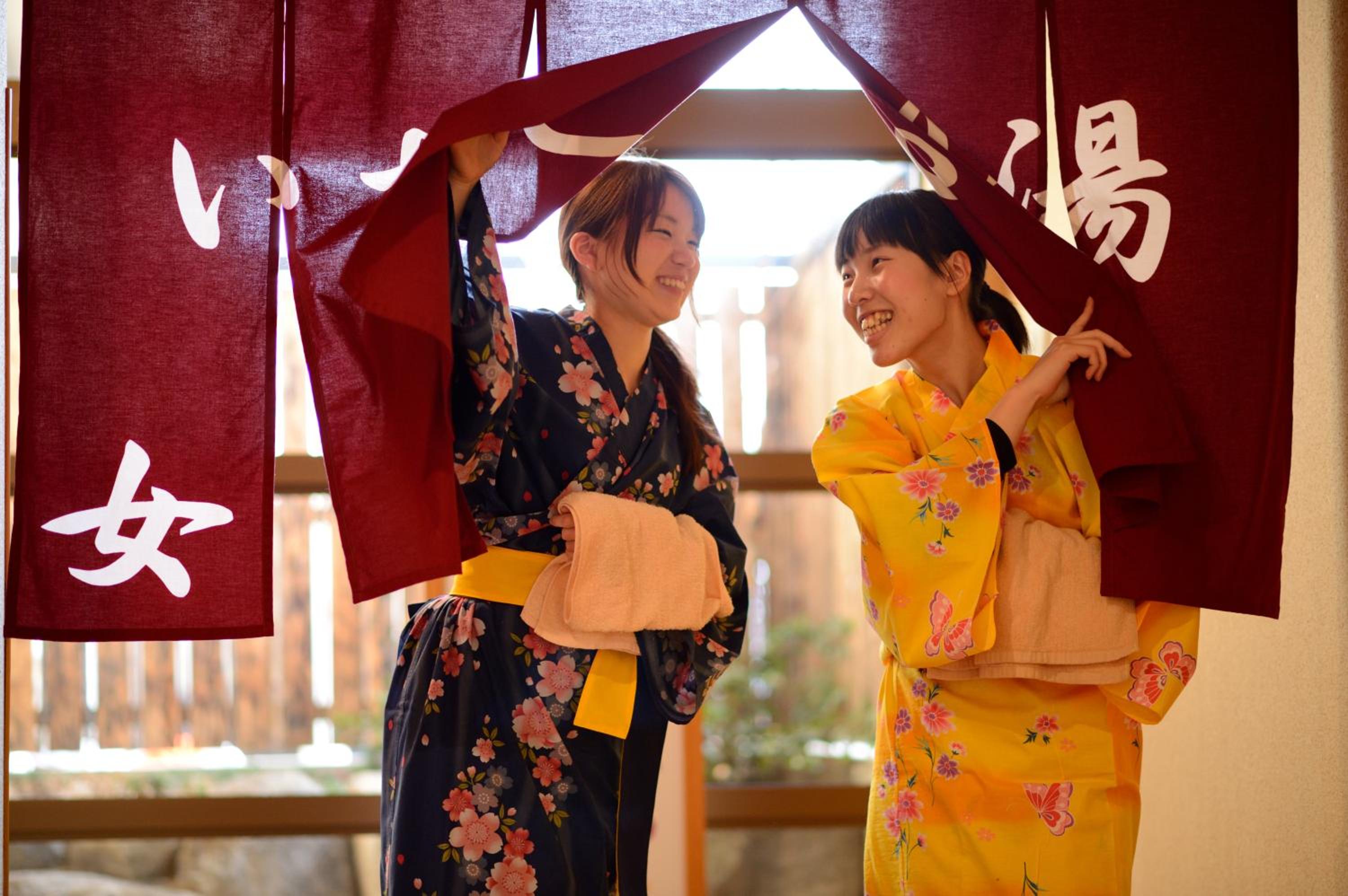 Iizaka Onsen Surikamitei Ohtori