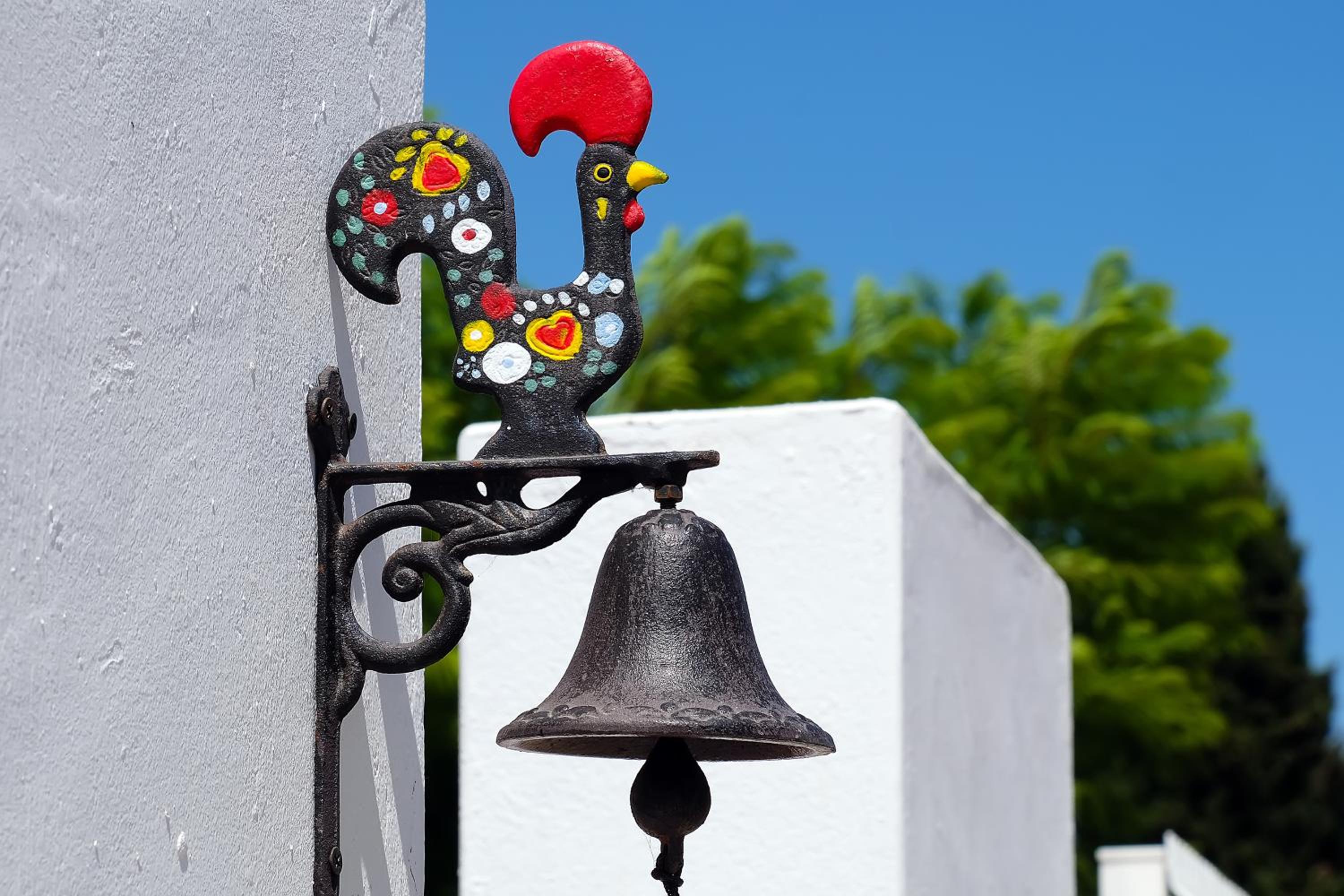 Photo 12