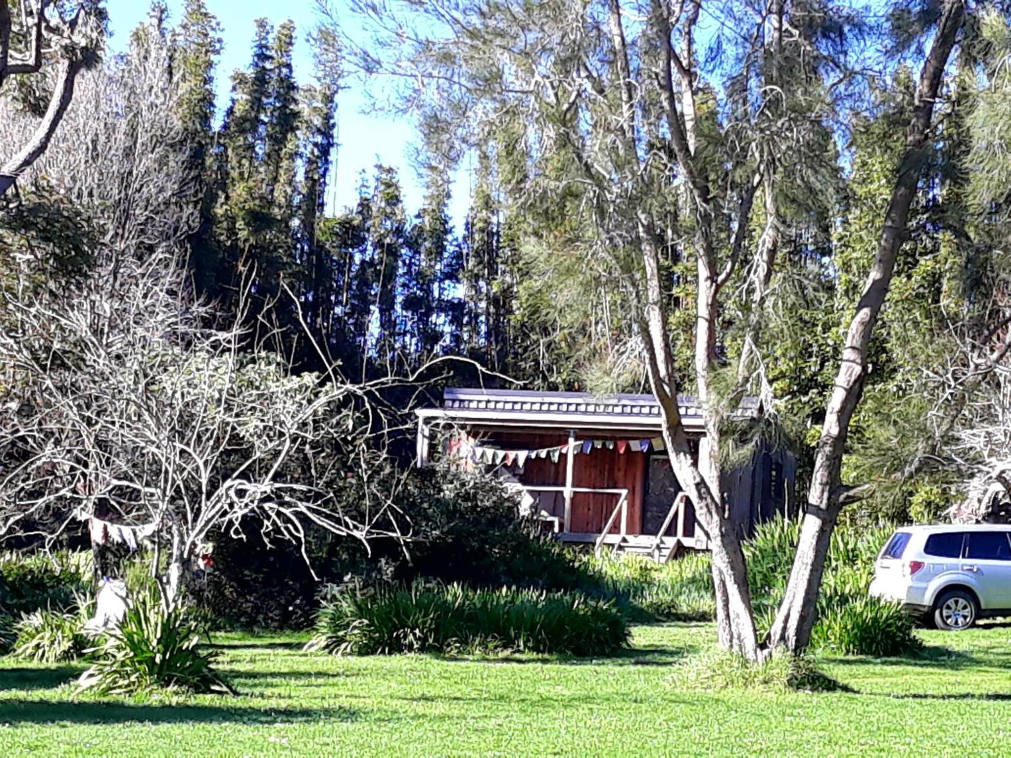 Photo 49
