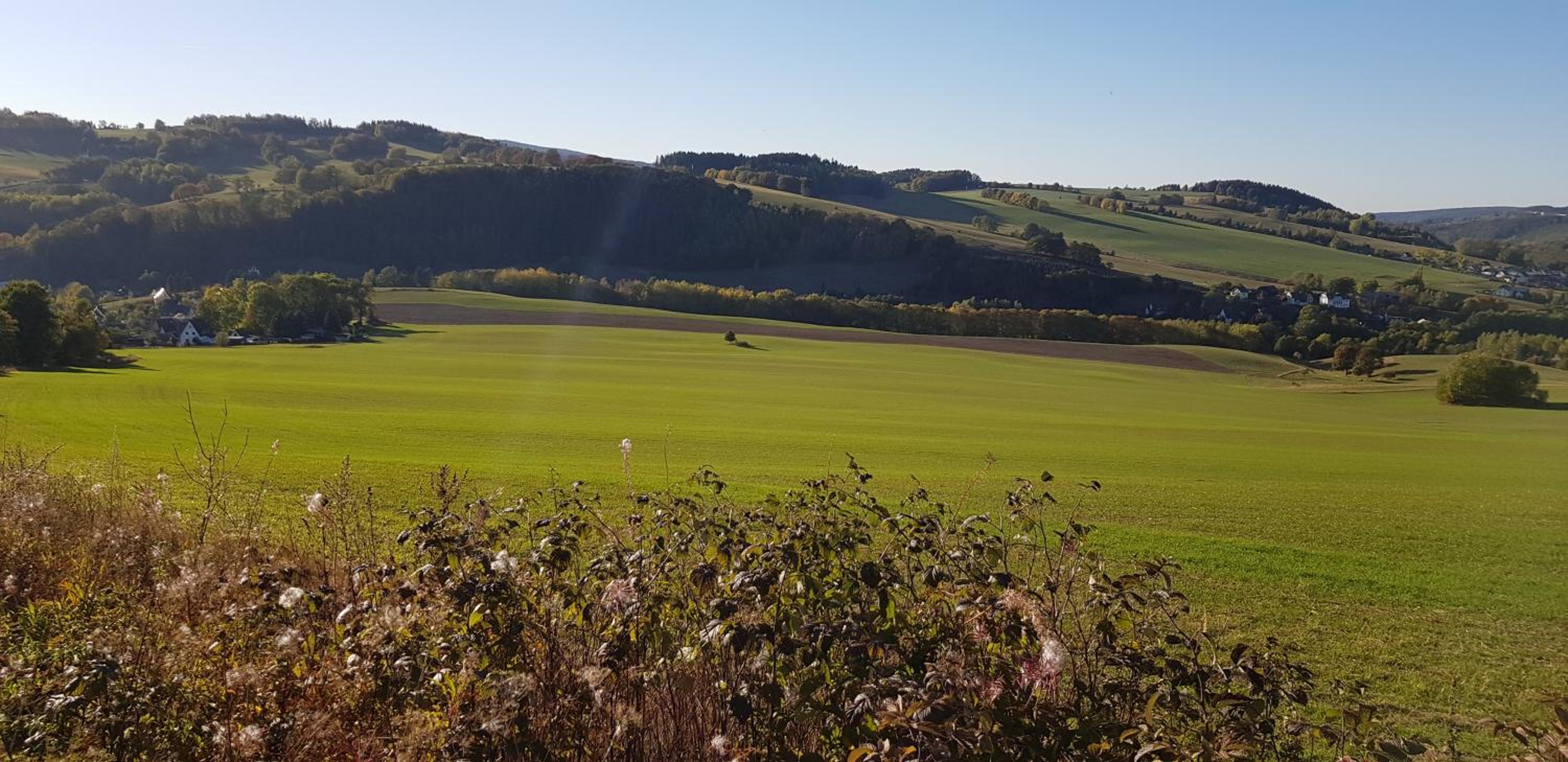 Haus Am Friedrichsbach view 2
