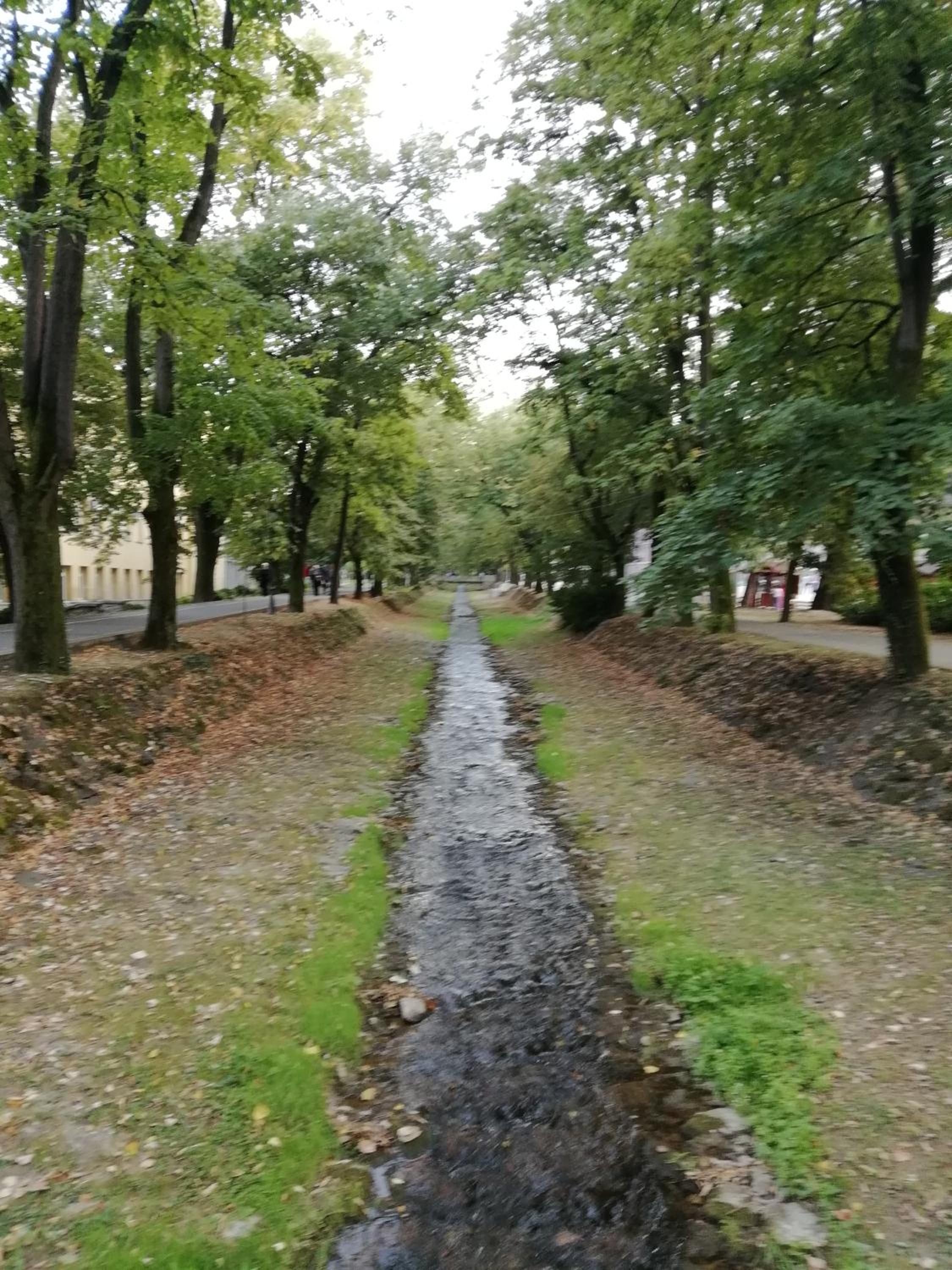 Apartman Boho Vrnjačka Banja view 3