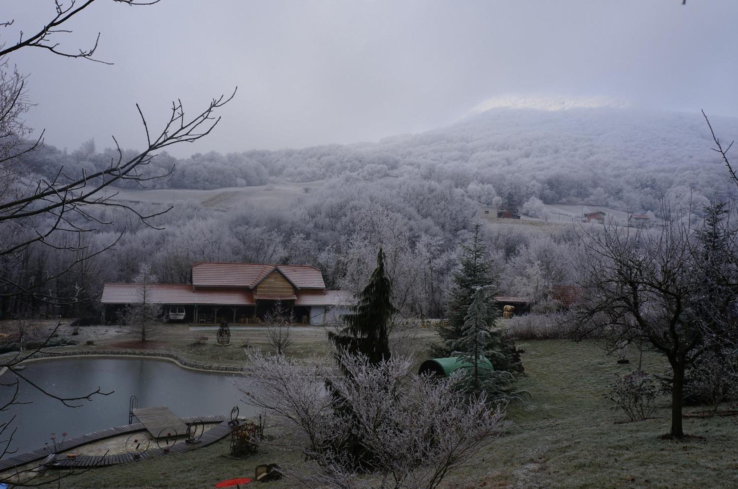 Country house with a pool in Medvednica Nature Park
