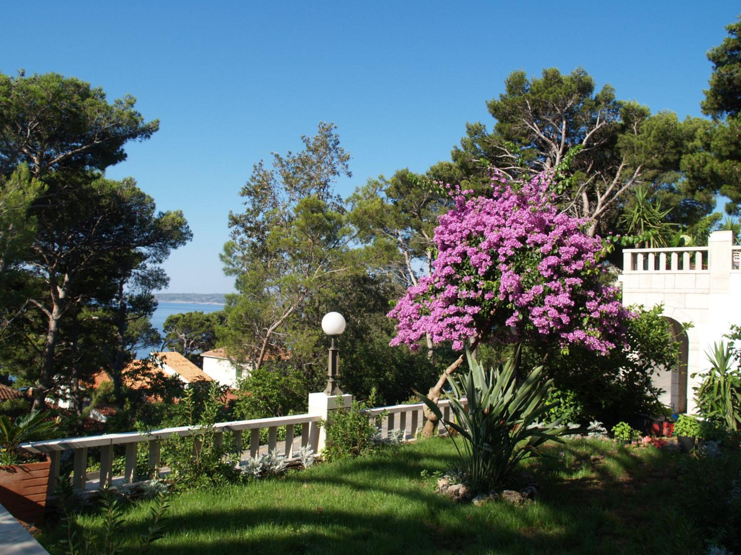 Villa BOSE