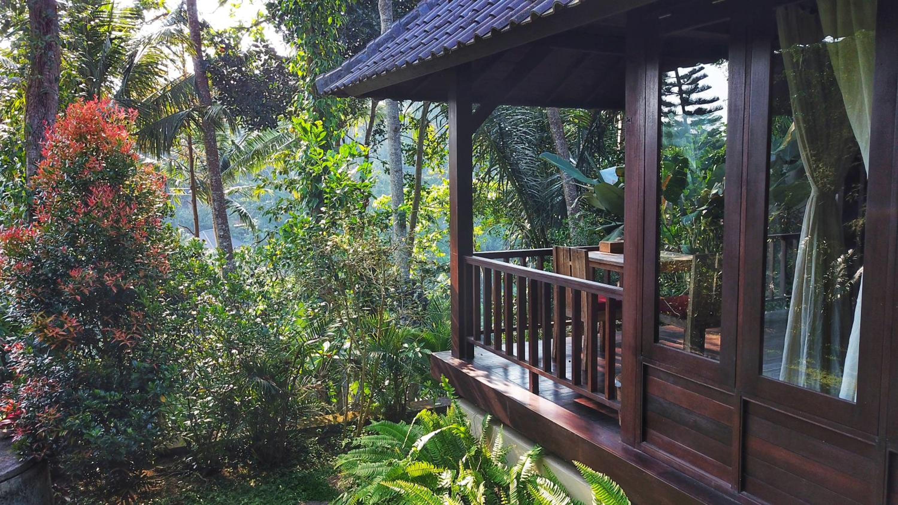 Secluded Jungle Villa view 5
