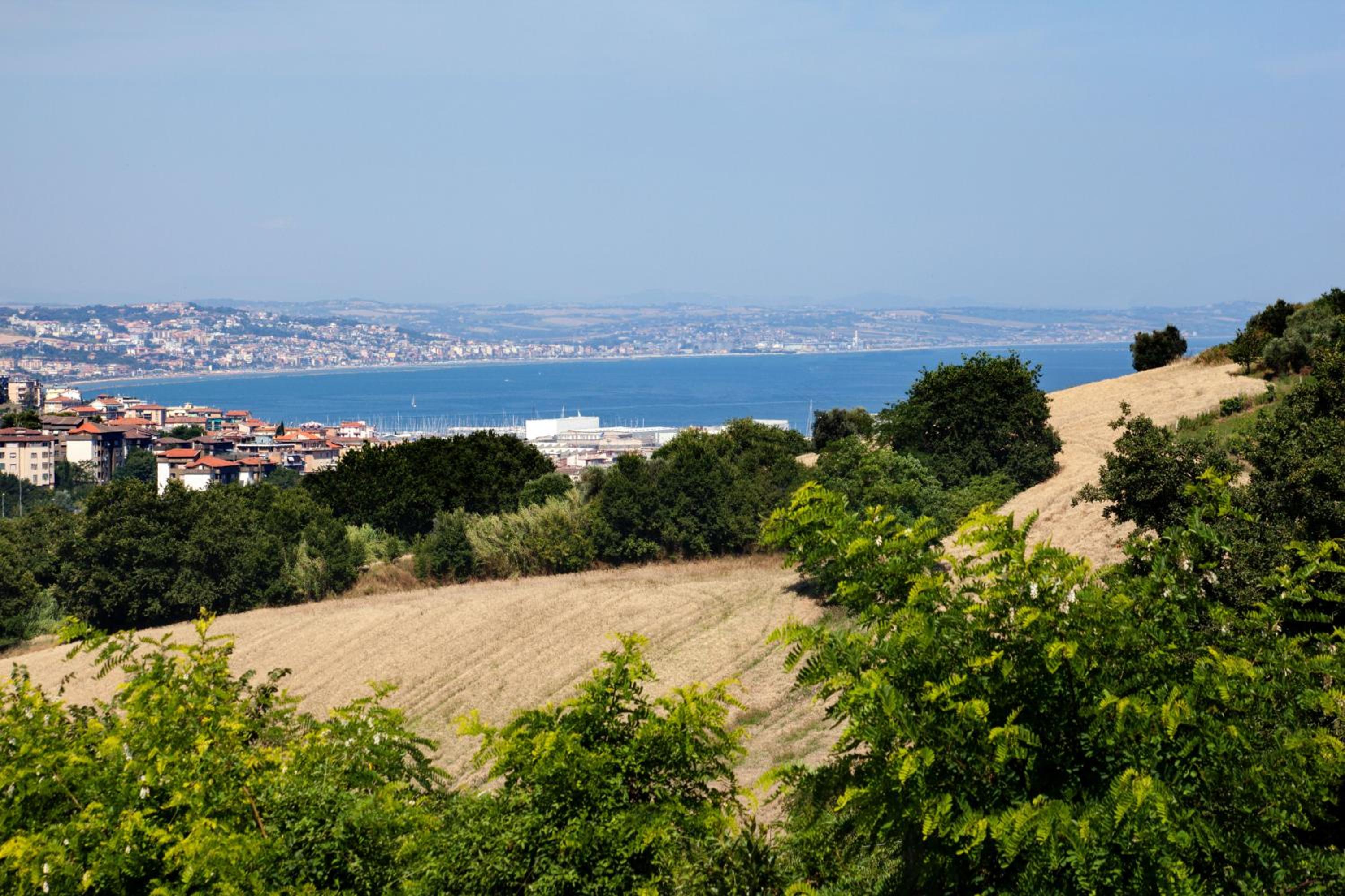 Fiori del Conero