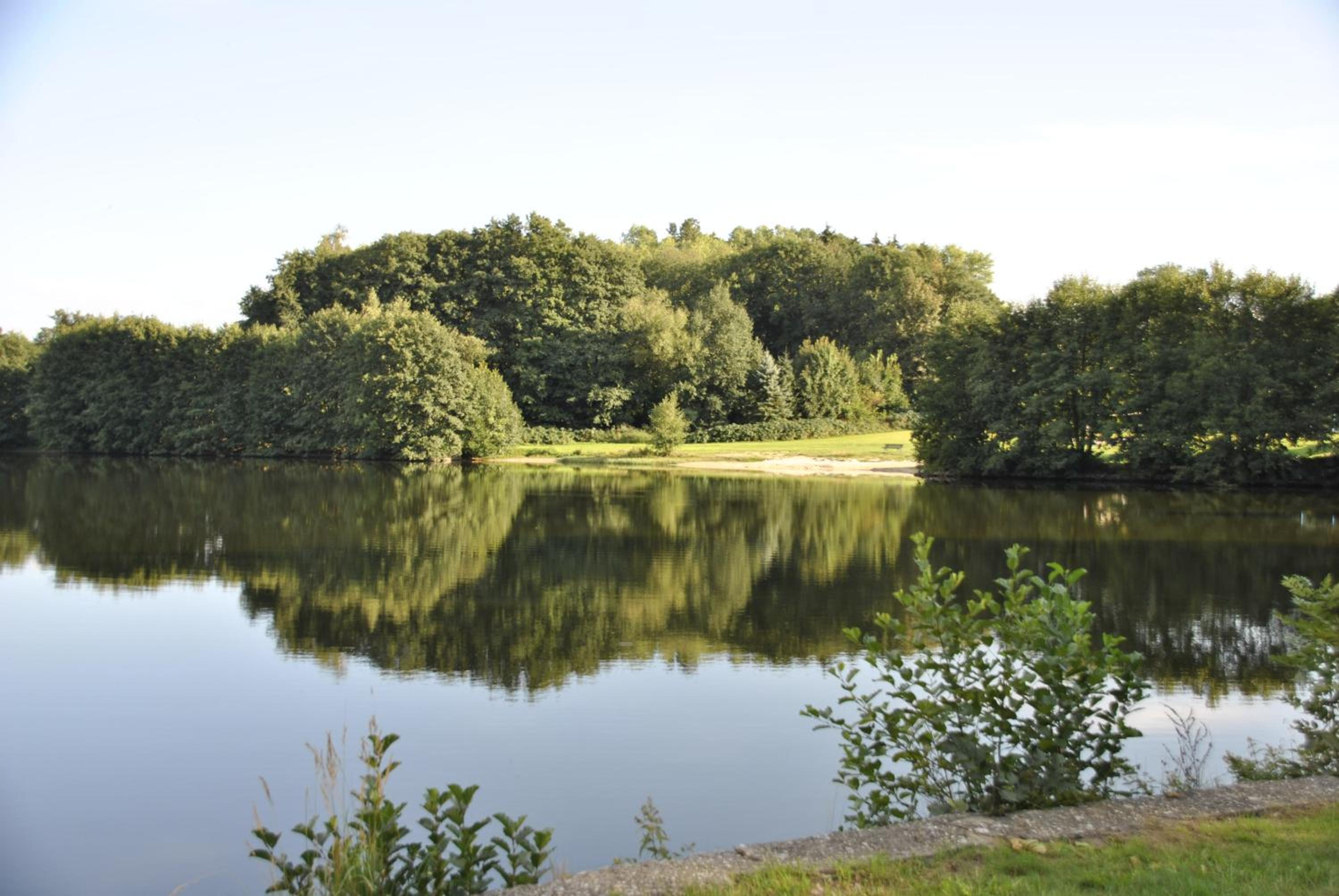 FeWo am Pochwerk-Badeteich - Property Image 7