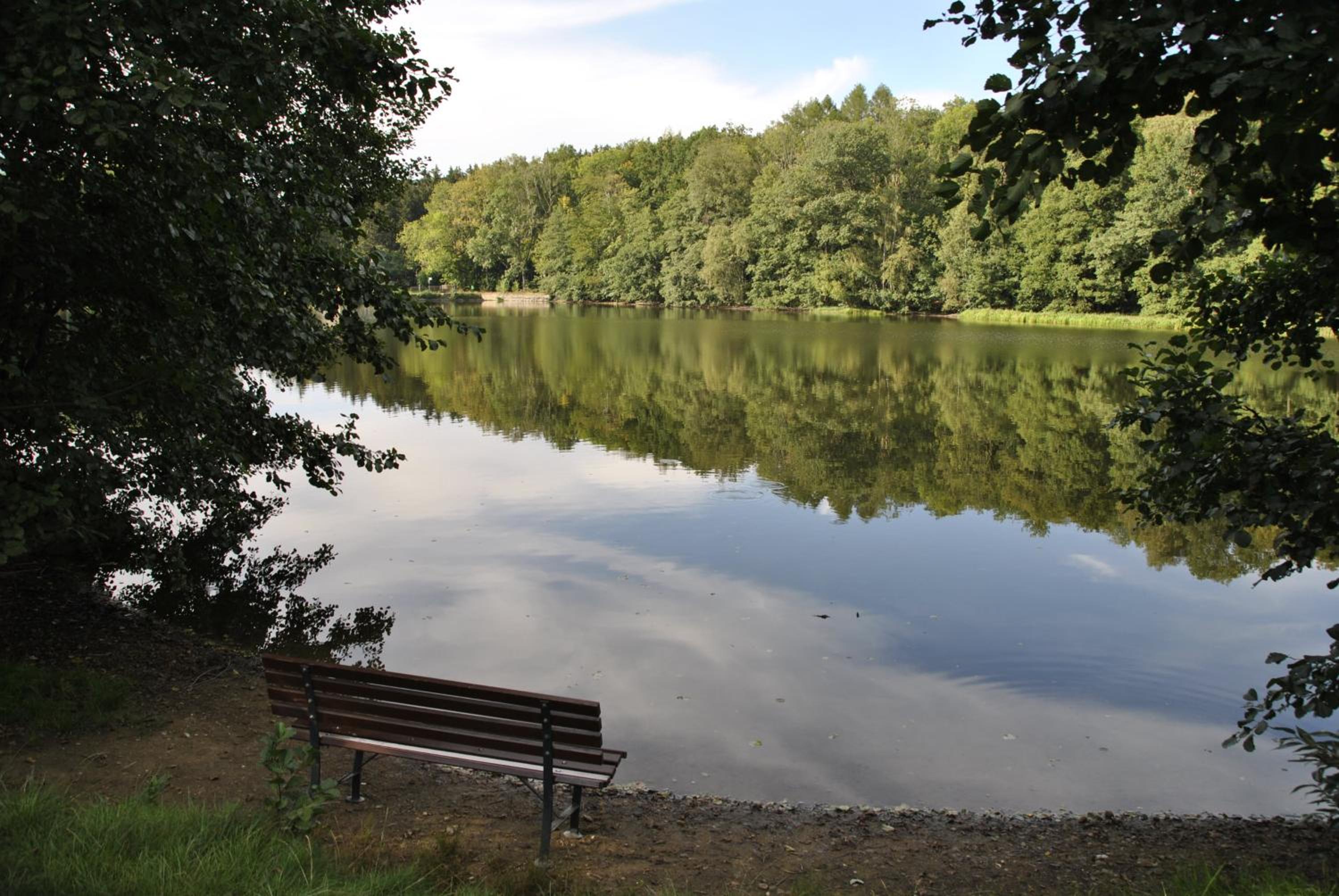 FeWo am Pochwerk-Badeteich - Property Image 8