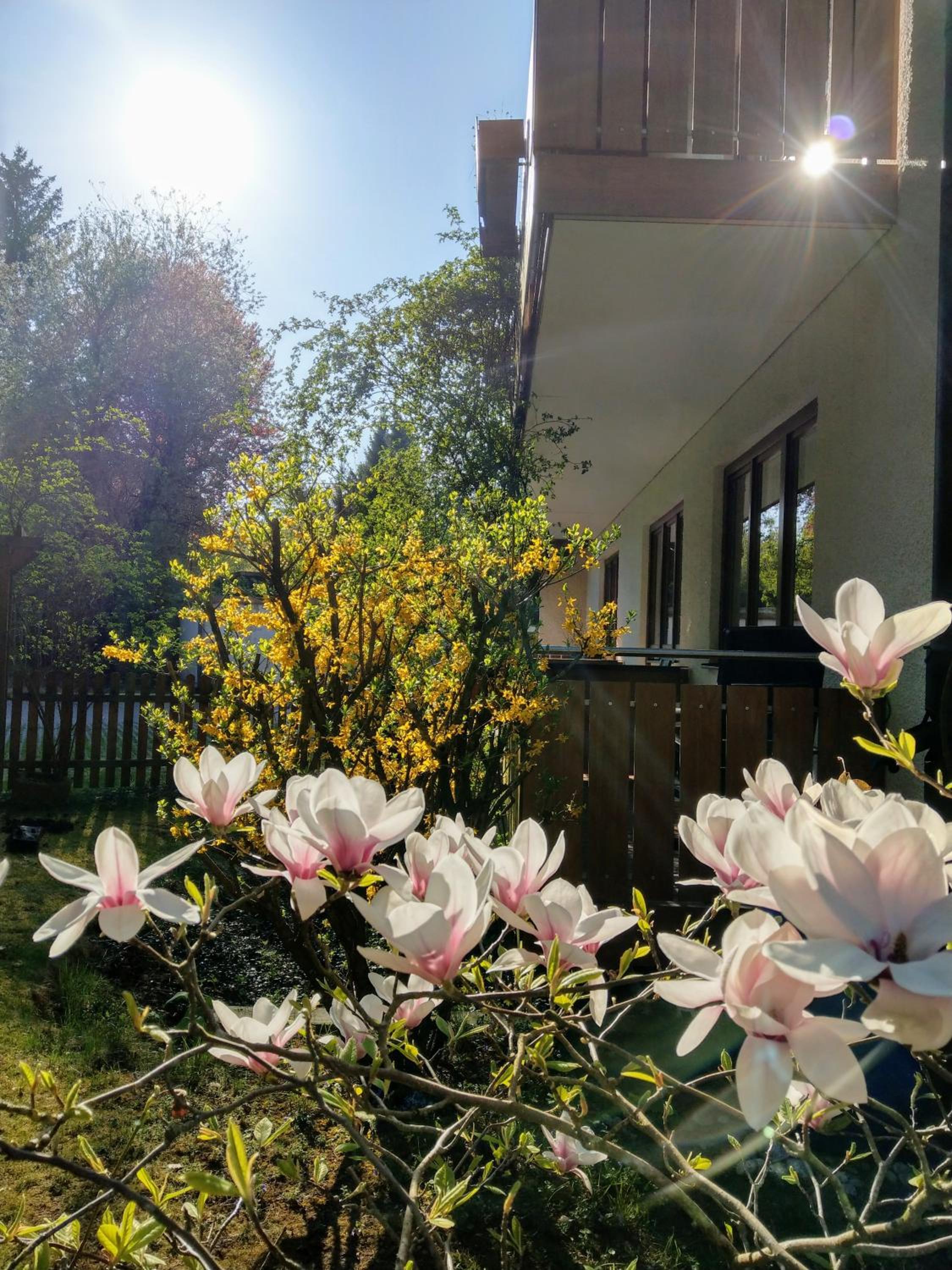 Hotel am Wald