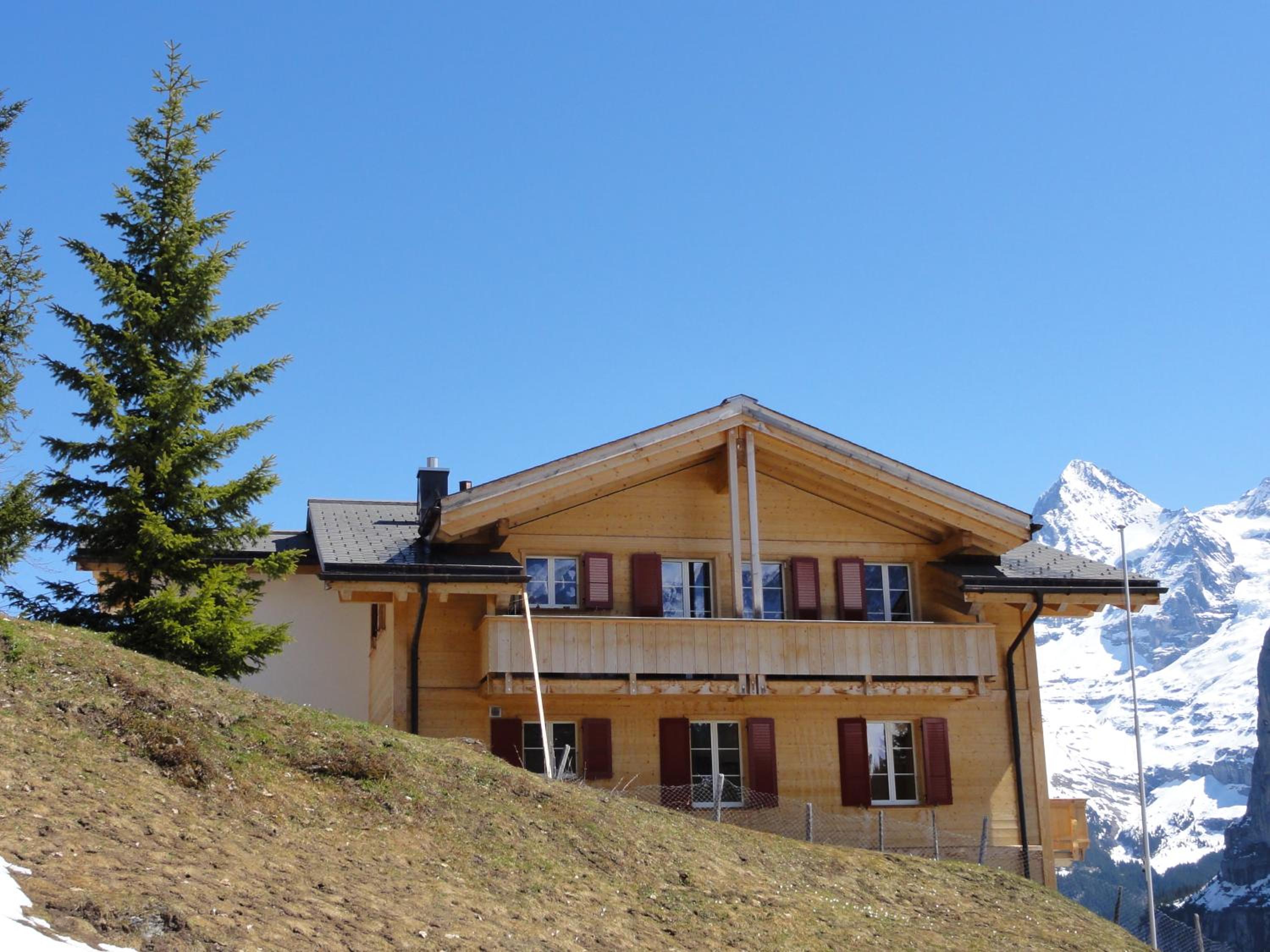 Photo 19
