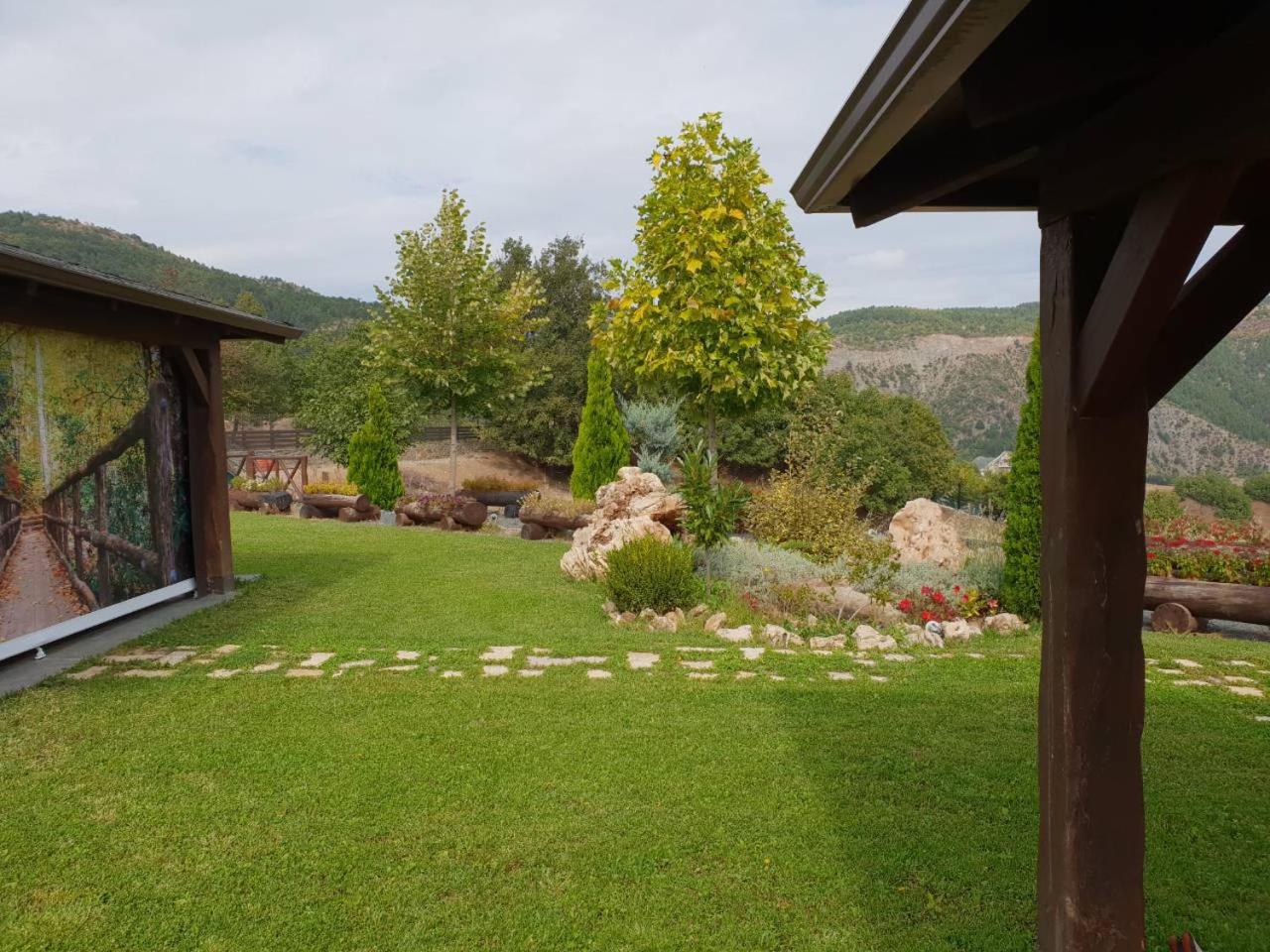 Photo 6