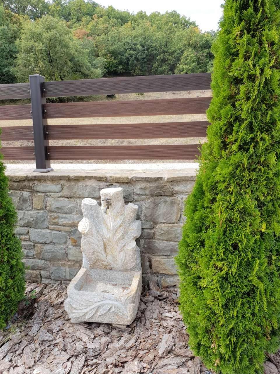 Photo 42
