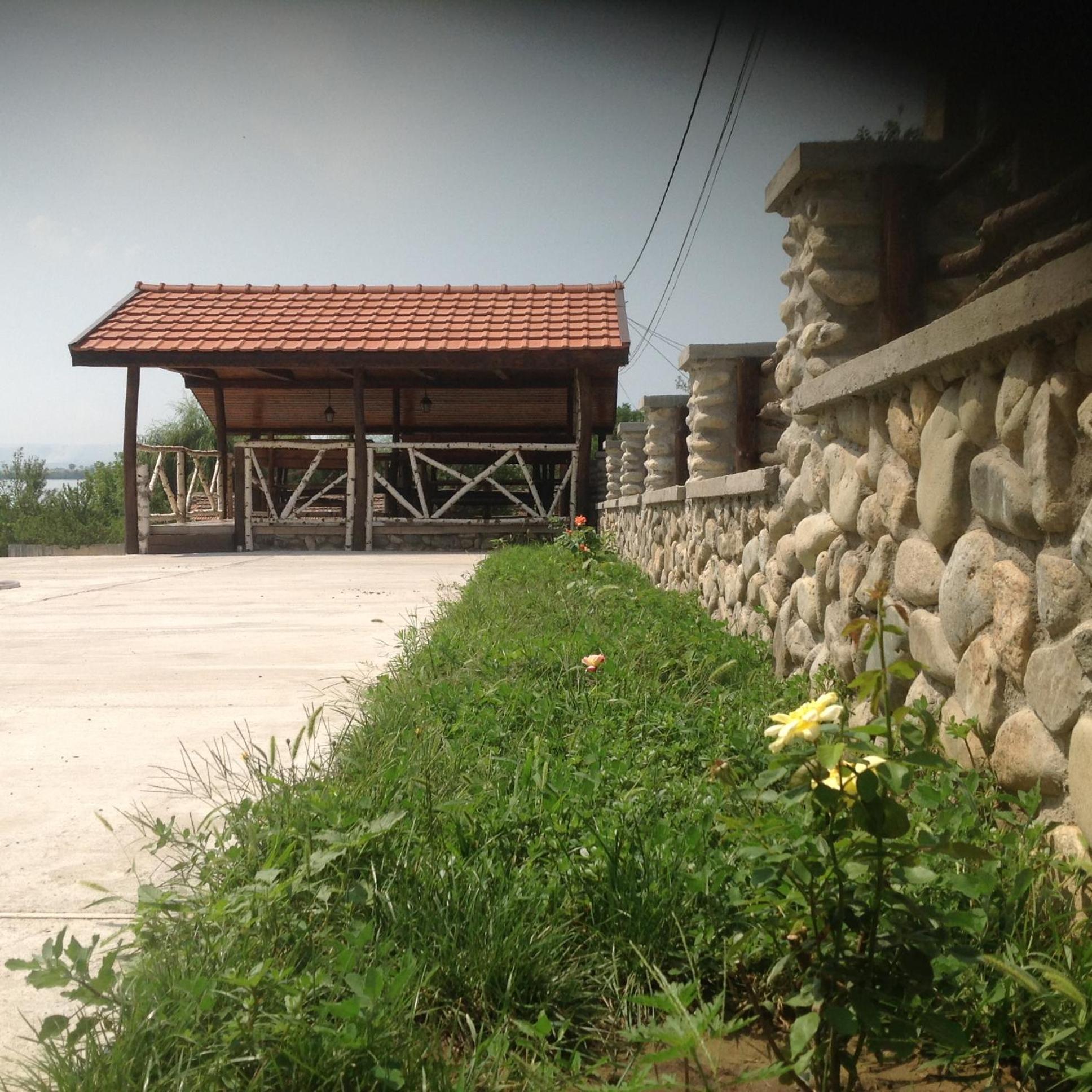 Photo 9