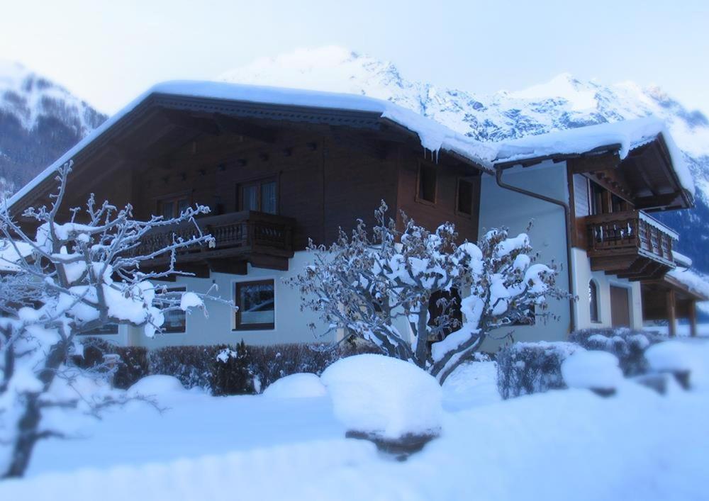 Chalet Walzl view 3
